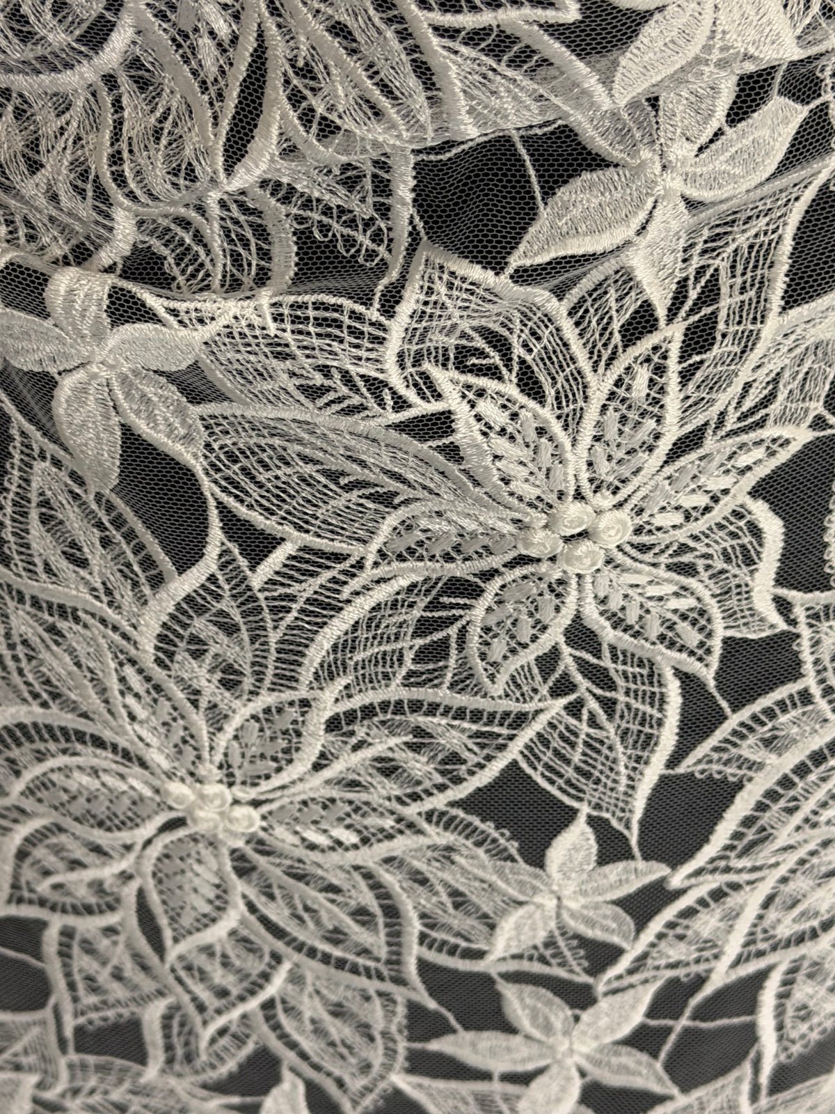 Ivory Embroidered Lace - Lalita