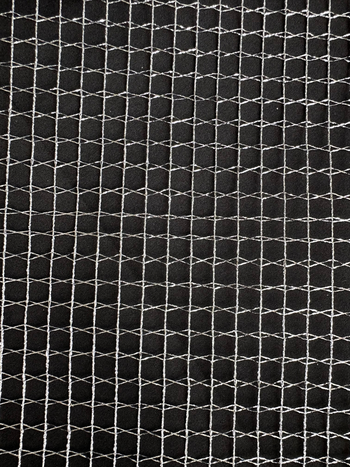 Silver Net – Anerkennung