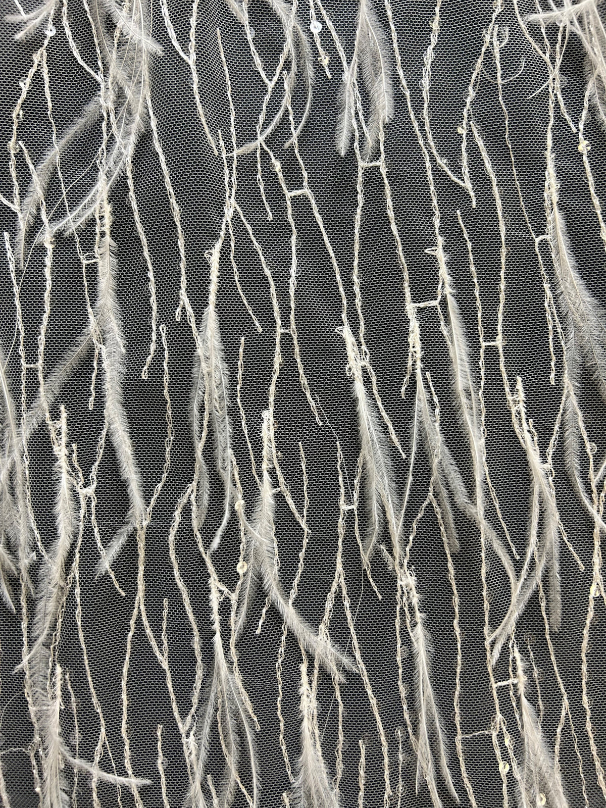 Elfenbeinfederspitze - Azzurra