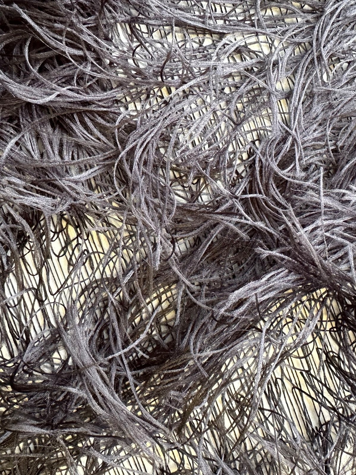 Schwarze Federspitze - Agenda