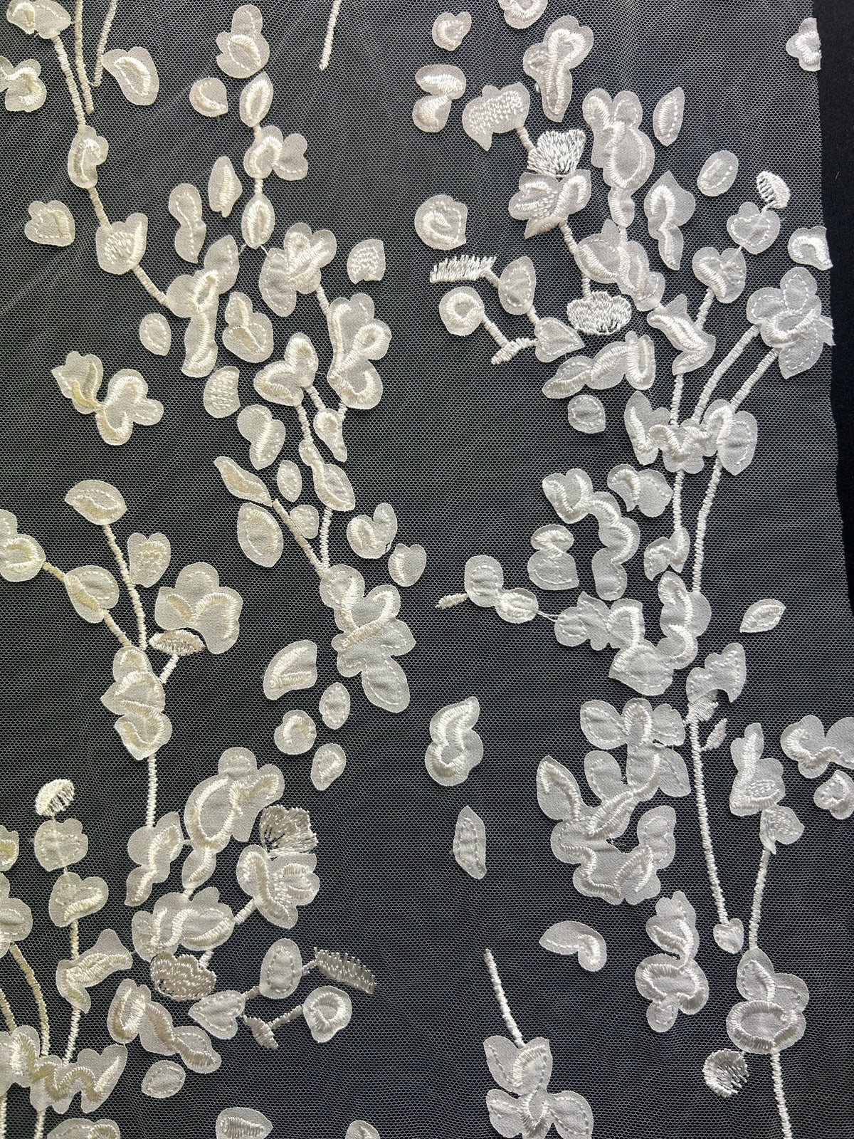 Elfenbeinfarbene Laserspitze - Cambree