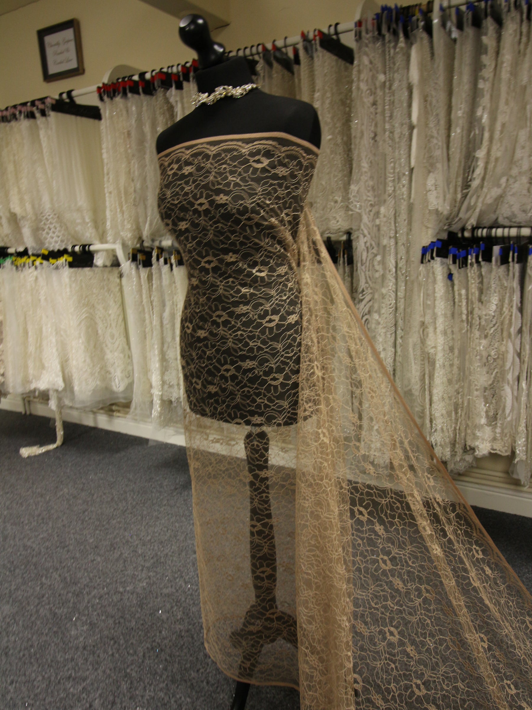 Corded Lace in Cappuccino – Leanne