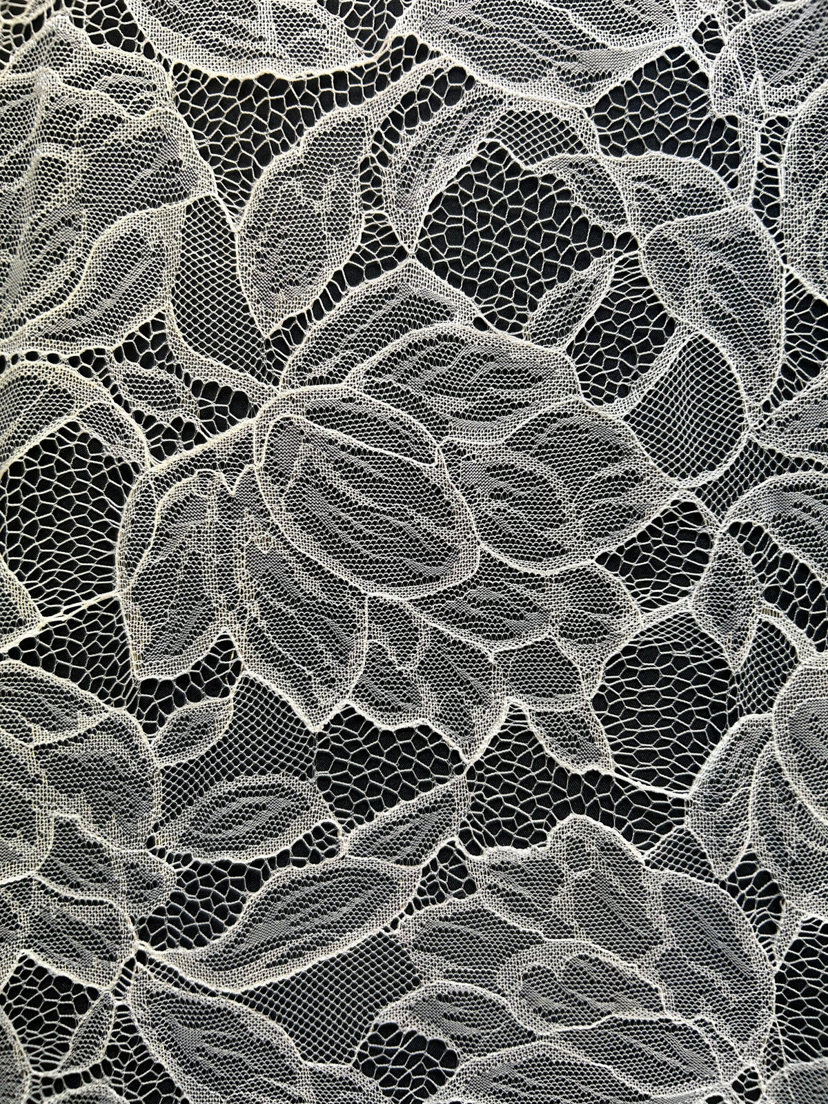 Elfenbeinfarbene Raschelspitze – Carole