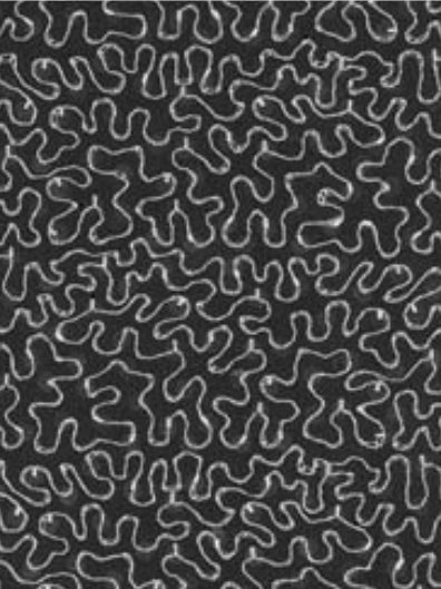 Antikrosenbestickter Paillettentüll – EB3001