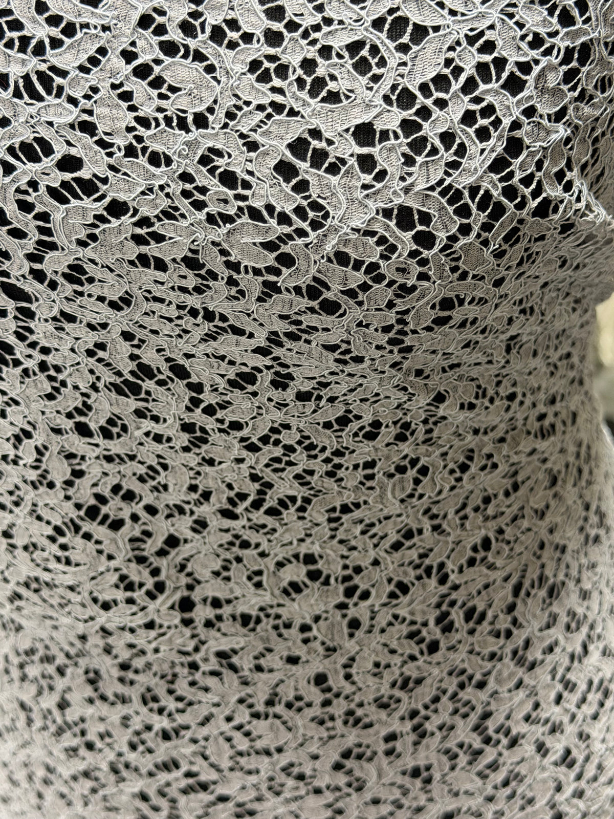 Silberbestickte französische Spitze – LA4005