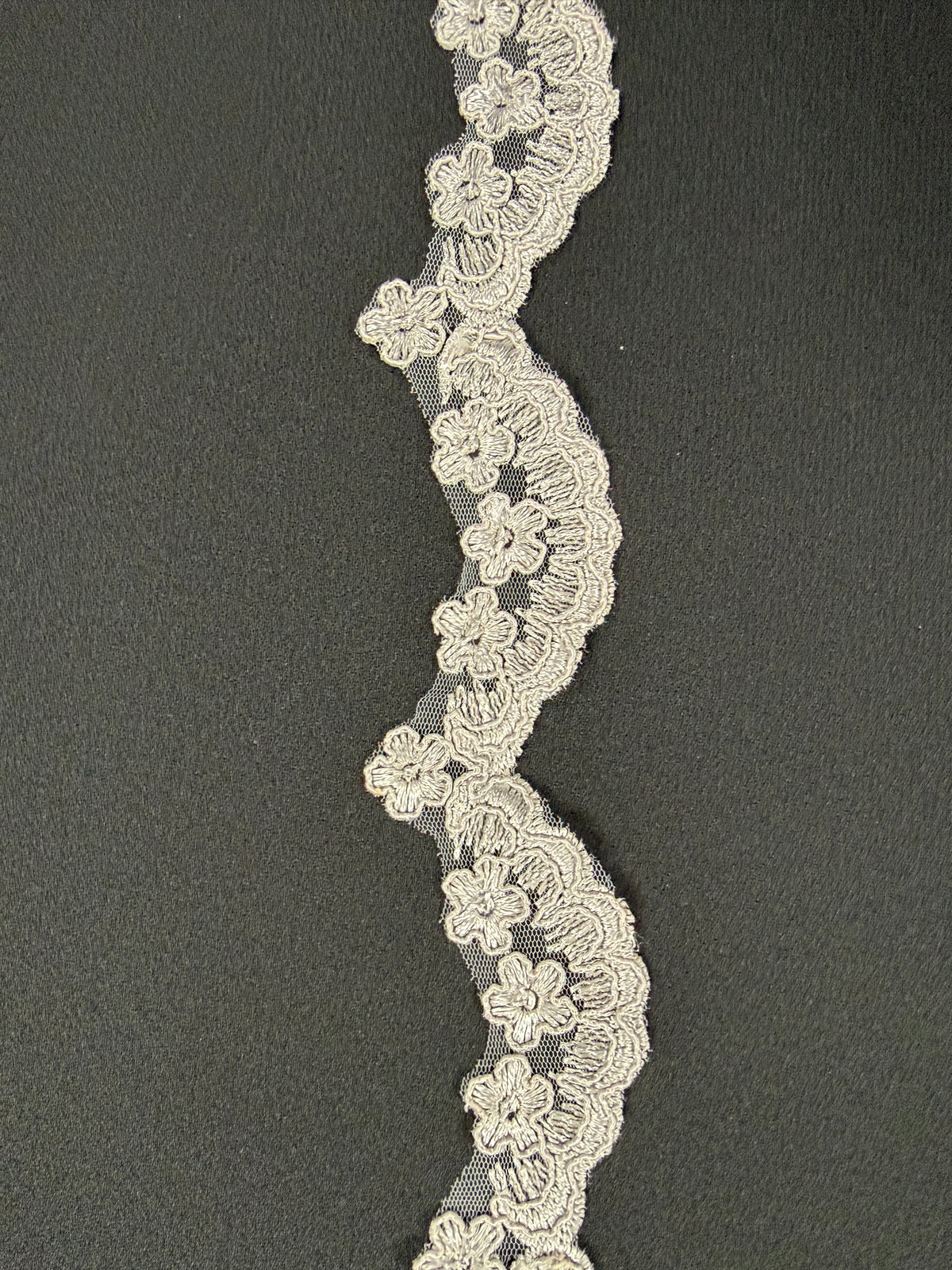 Silberne Paillettenborte mit Kordel - T713