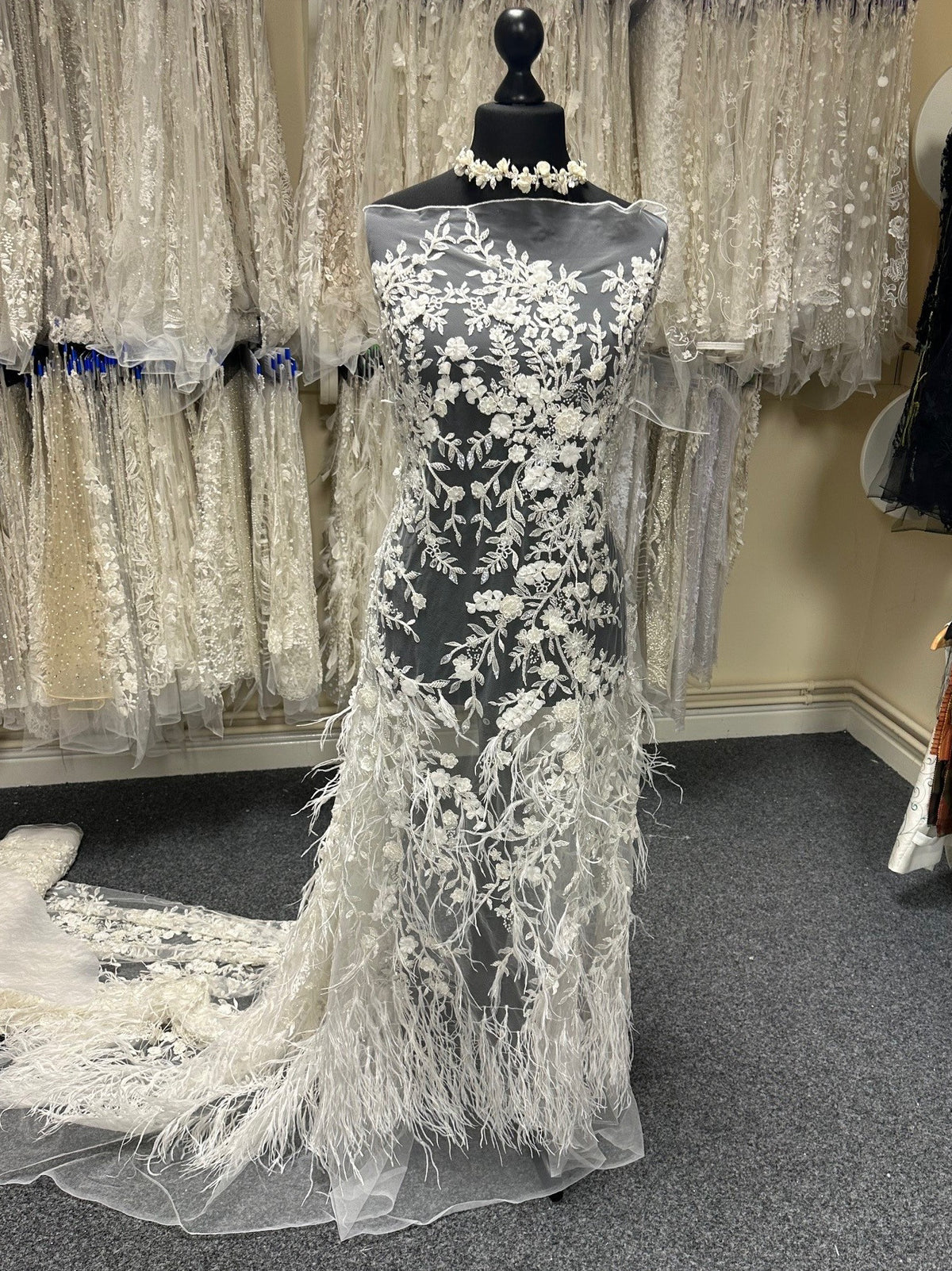 Elfenbeinfederspitze - Guadeloupe