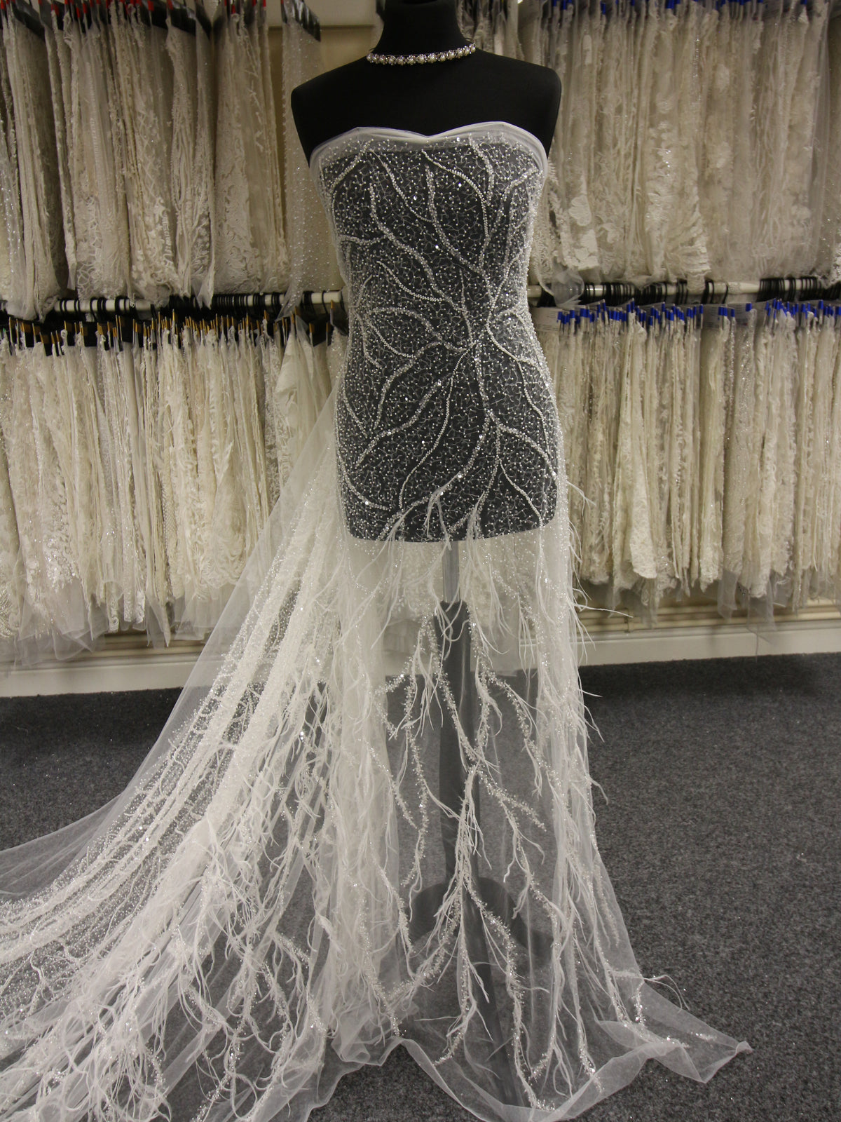 Elfenbeinfederspitze – Chandler