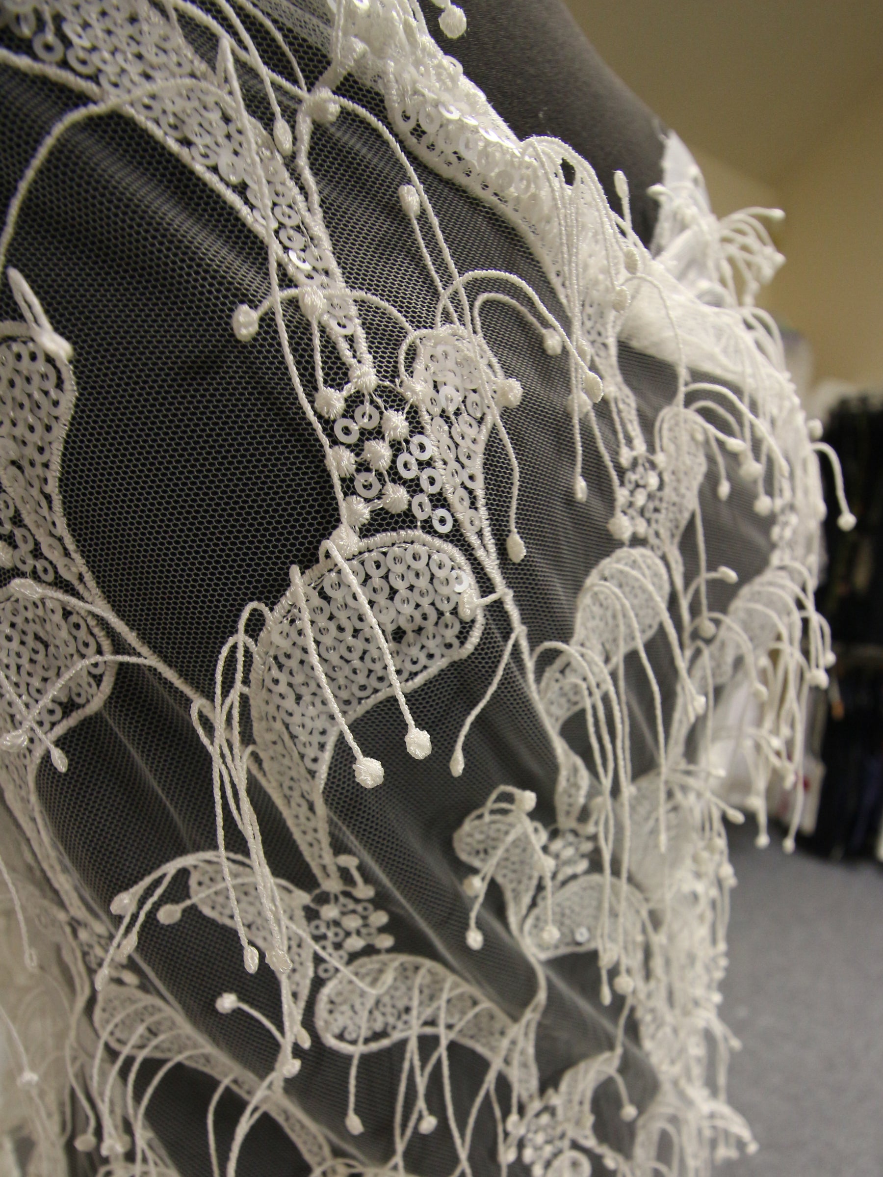 Elfenbeinfarbene paillettenbesetzte Paisley-Spitze – Ronnie