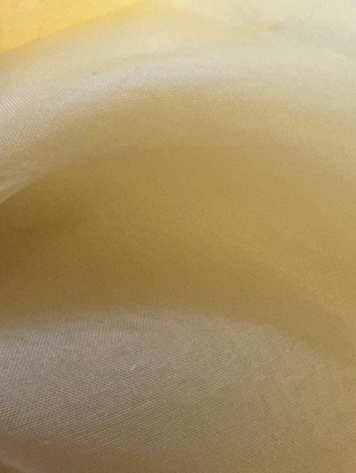 Magnolien-Seidenorganza – Evolution