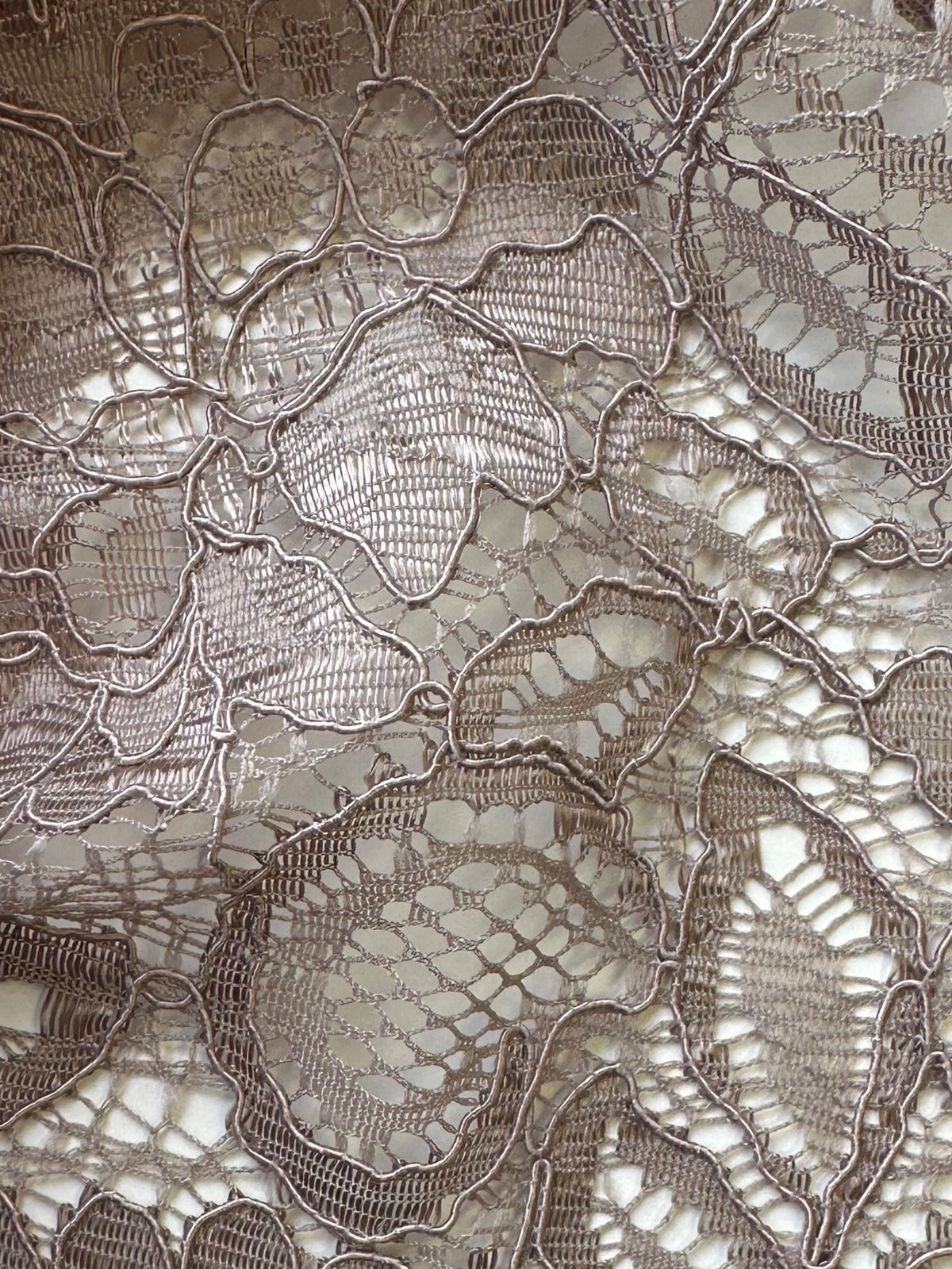 Nerzfarbene Kordelspitze - Tocca