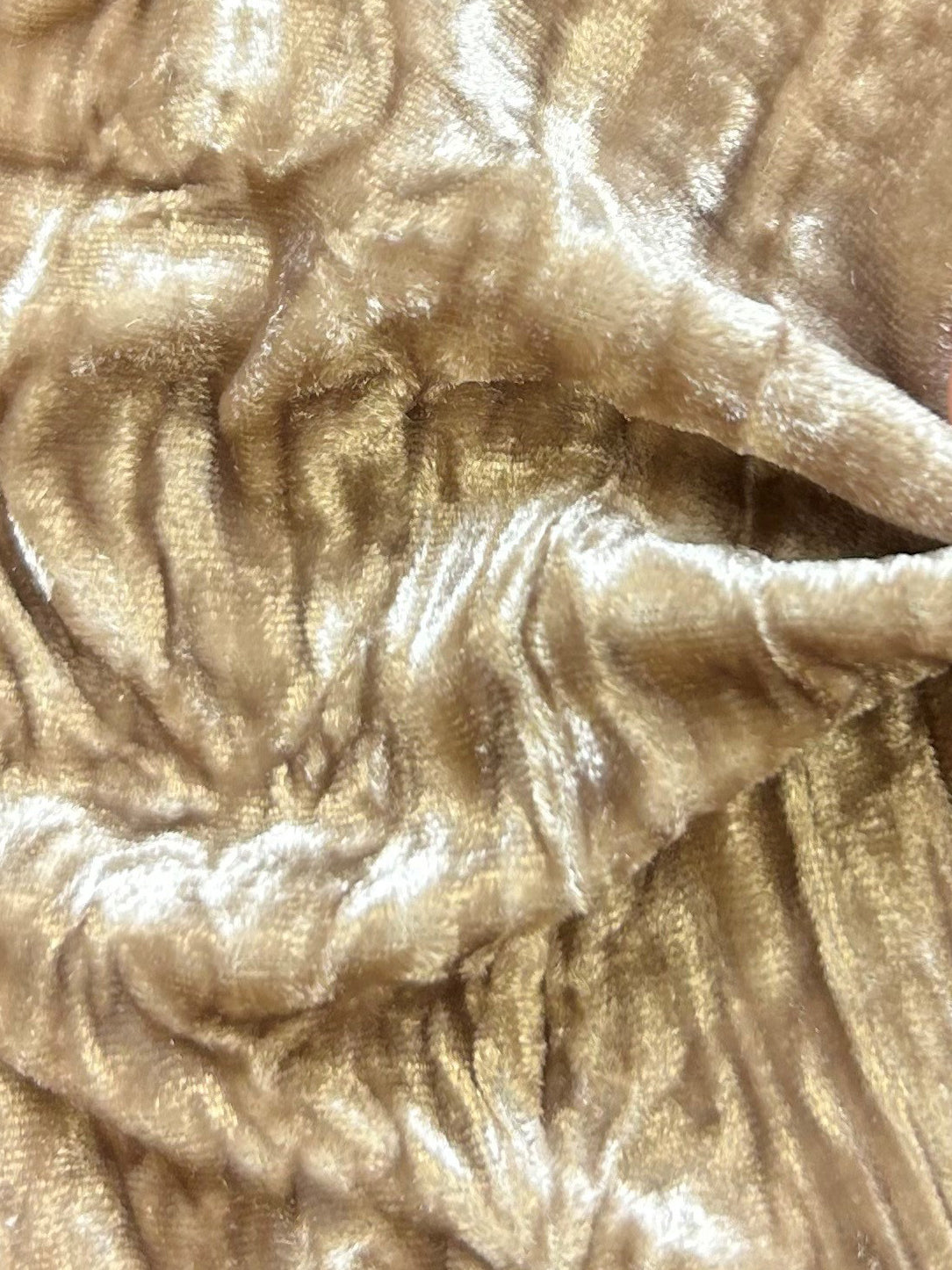 Pilz Seidensamt - Ruffle