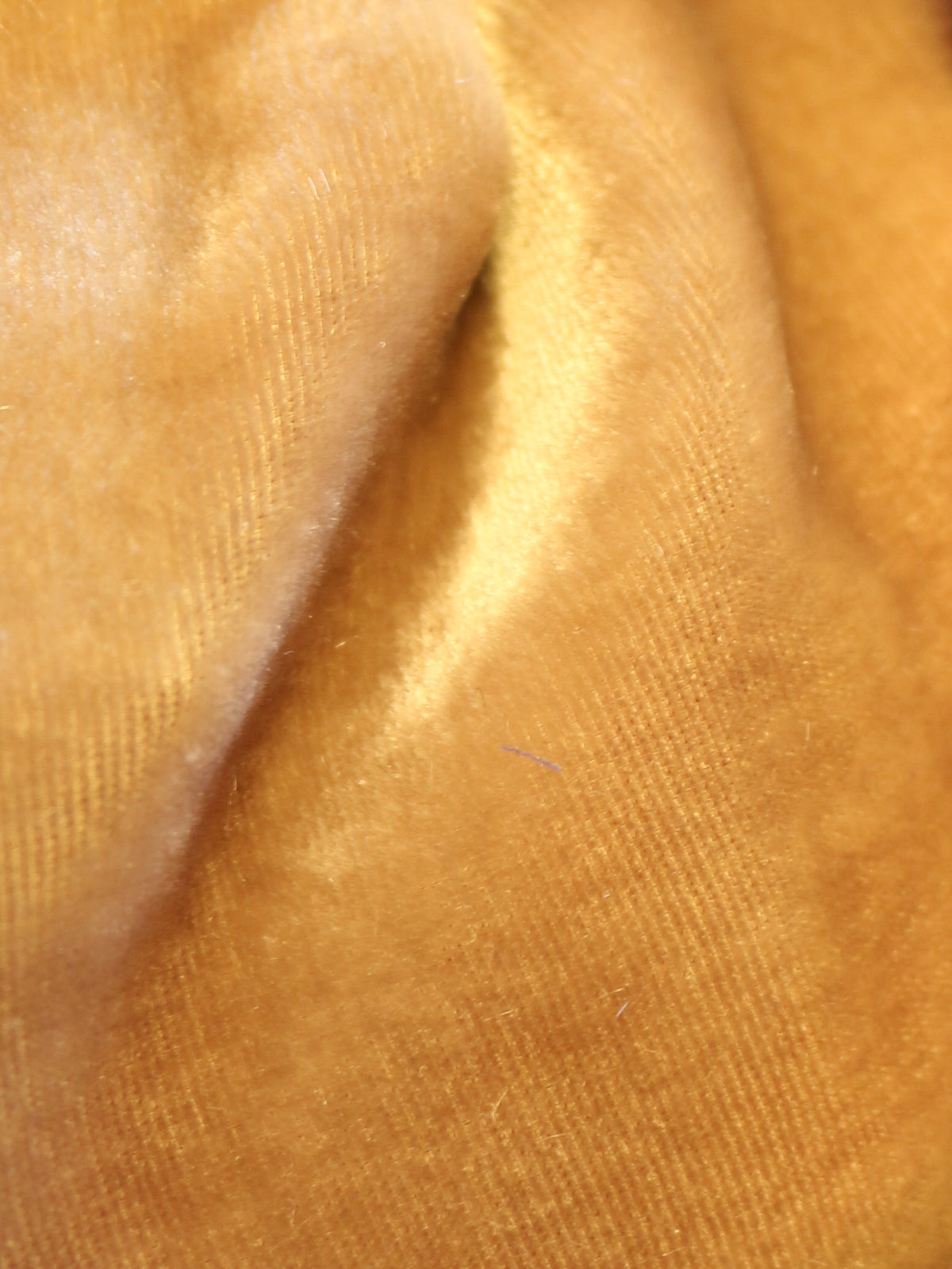 Pilzseidensamt - Vogue