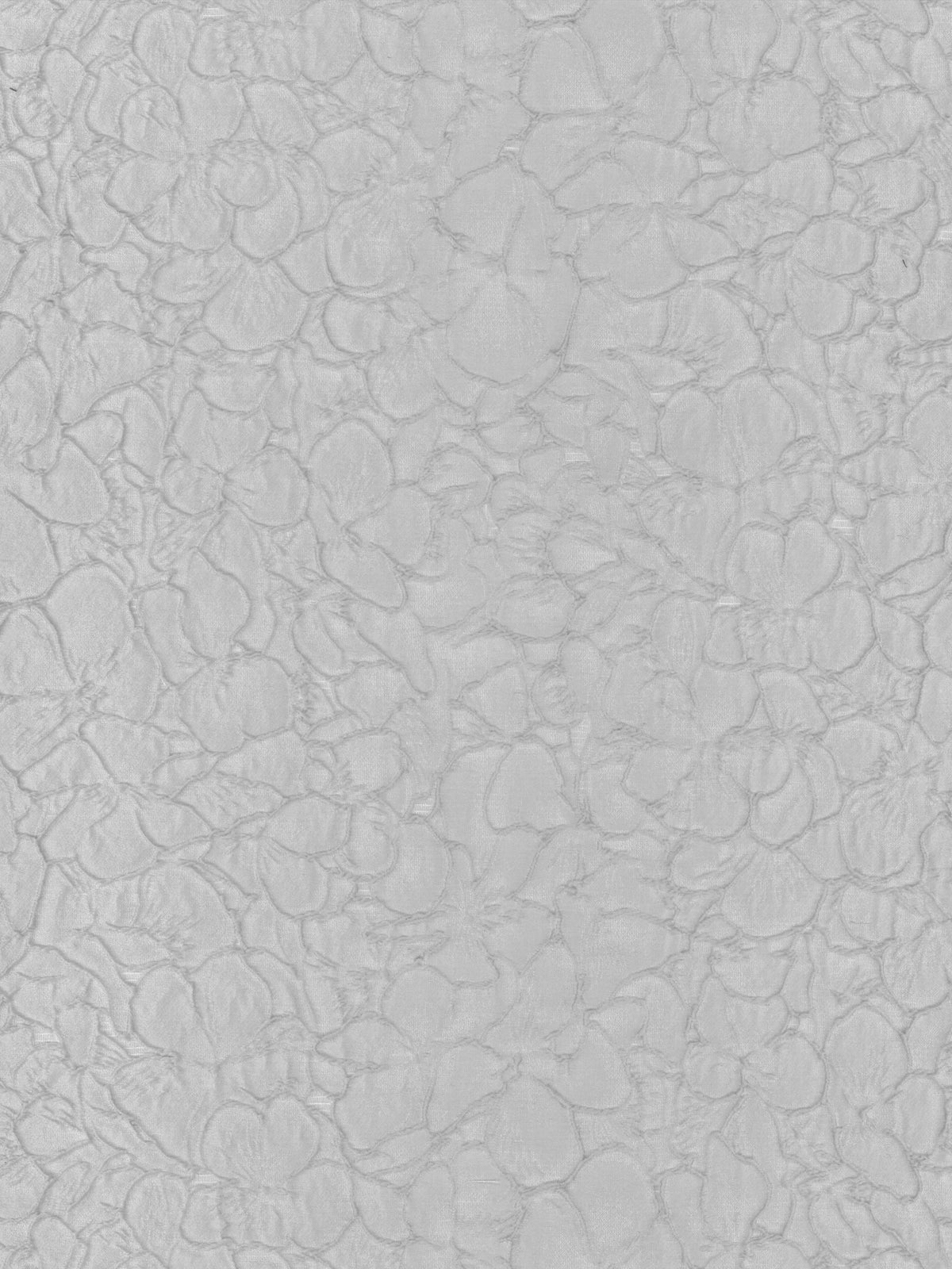 Enteneier-Jacquard - P659