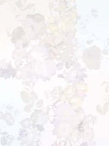 Helles Elfenbein/mehrfarbig bedruckte Organza – PR2007