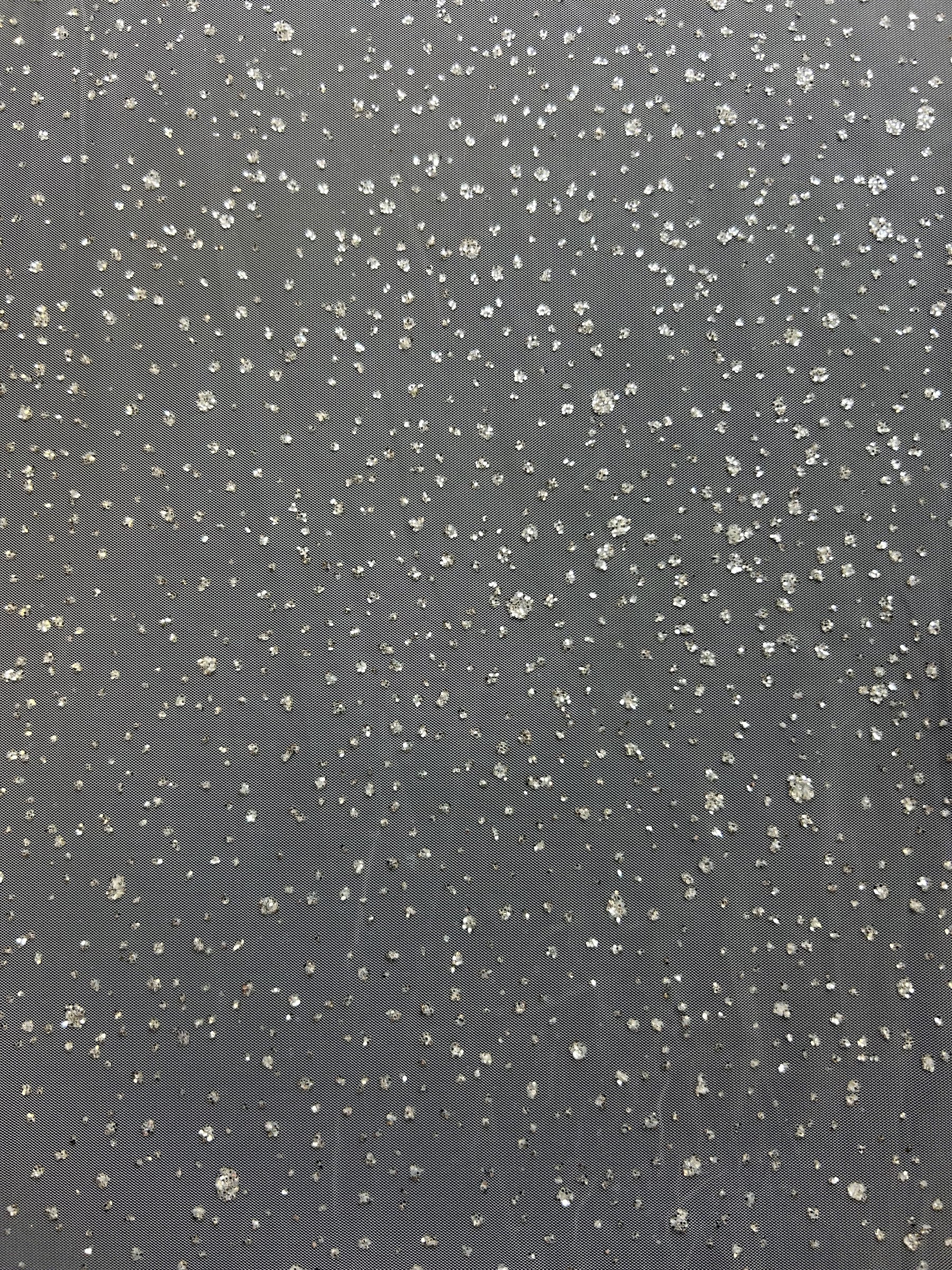 Elfenbeinfarbener Stretch-Tüll mit silberner Glitzerverzierung – Paragon