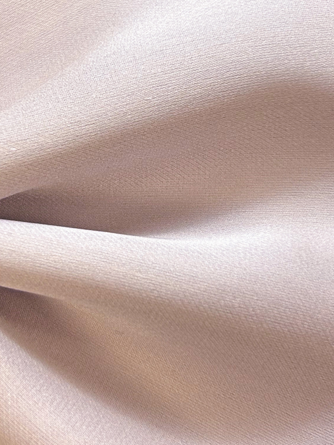 Rosa Seidencharmeuse - Hilarity