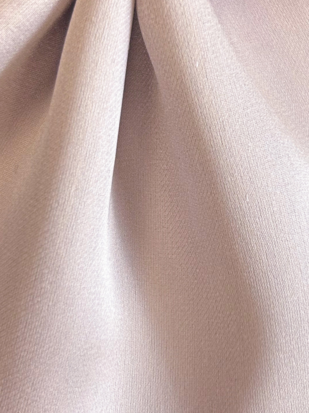 Rosa Seidencharmeuse - Hilarity