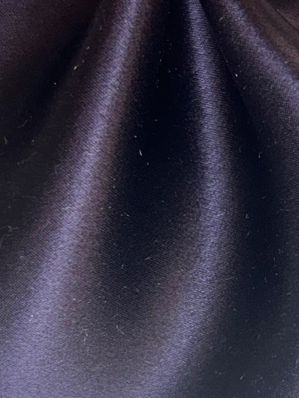 Giftorchideen-Seidensatin -Splendour