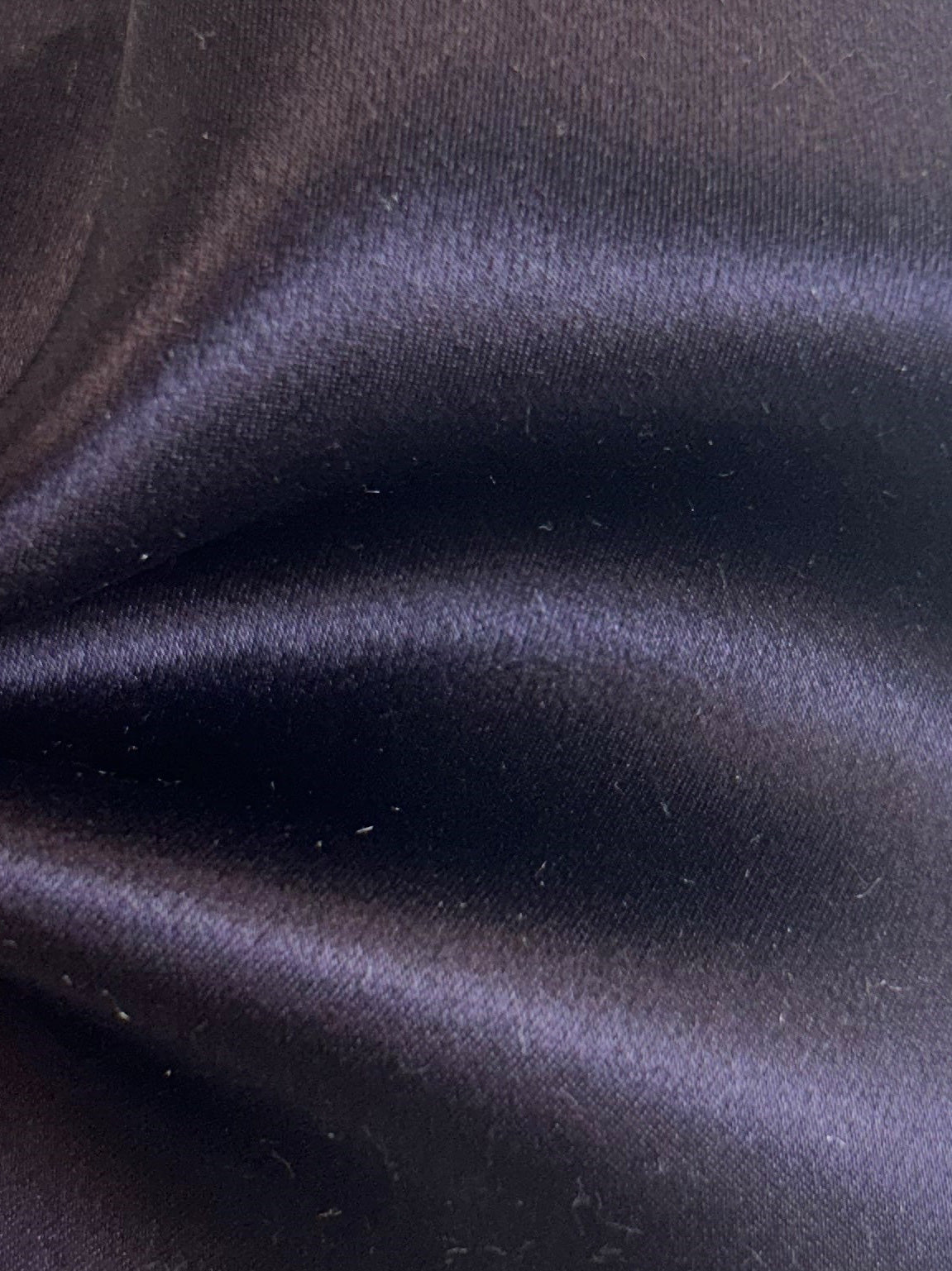 Giftorchideen-Seidensatin -Splendour