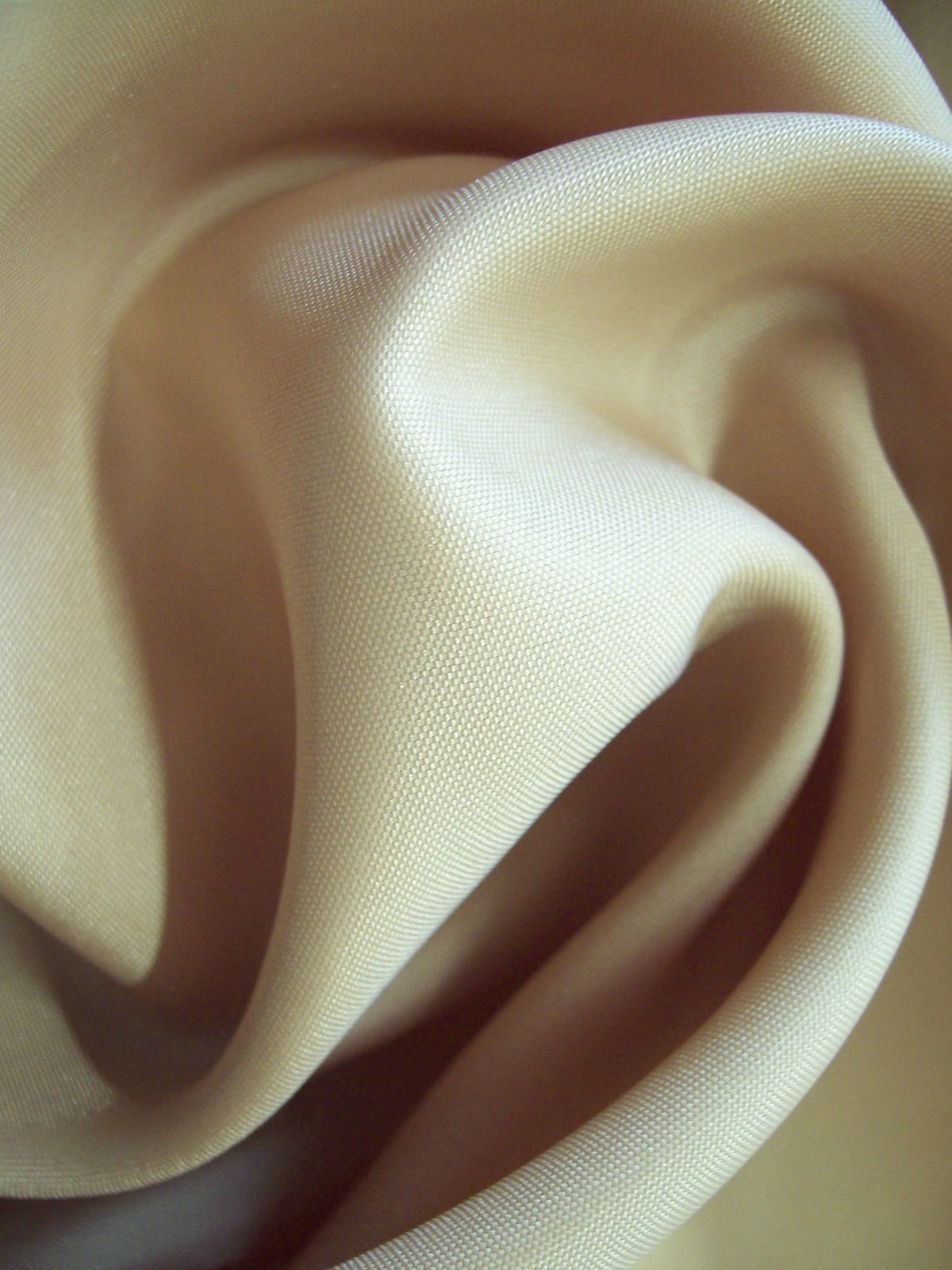 Coquille Polyester-Futterstoff - Renaissance