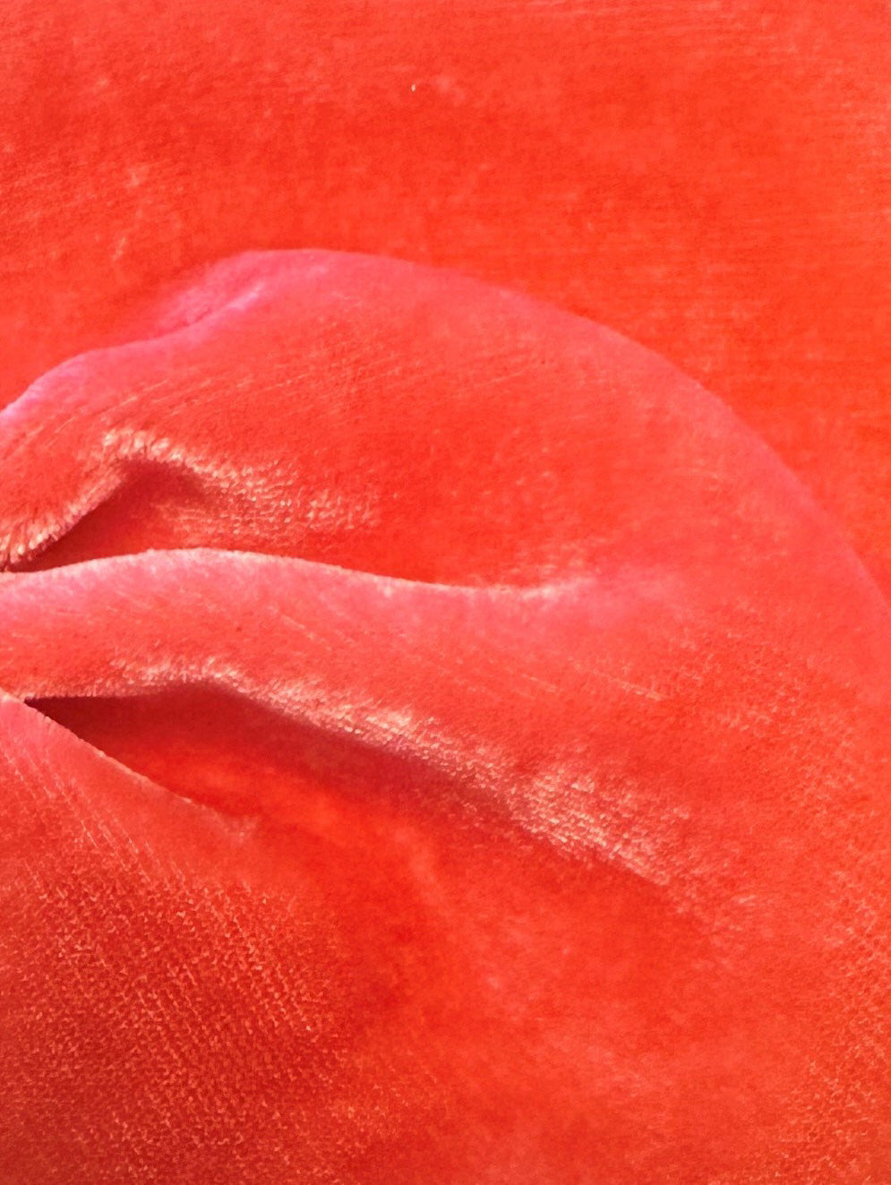 Garnelenseidensamt - Vogue