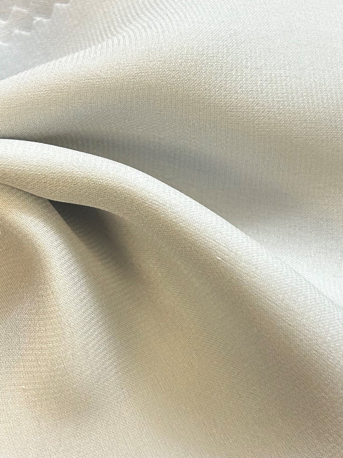 Silberne Seidencharmeuse - Hilarity