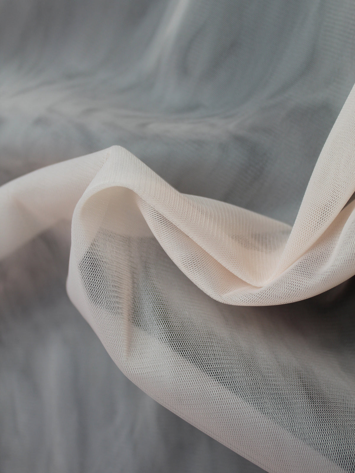 Weichkoralle (6) Tüll - TU0031