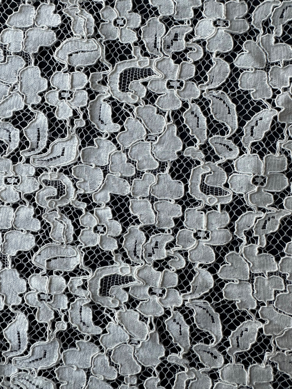 Elfenbeinfarbenes Spitzenpanel mit Kordel - Carey