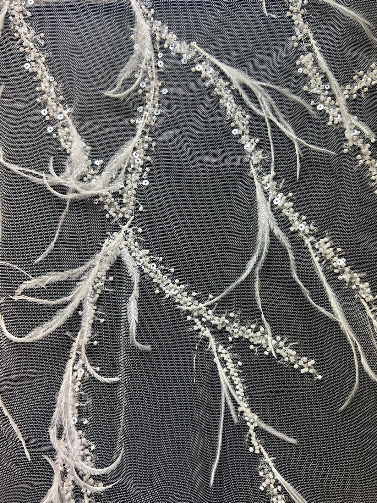 Elfenbeinfederspitze – Chandler