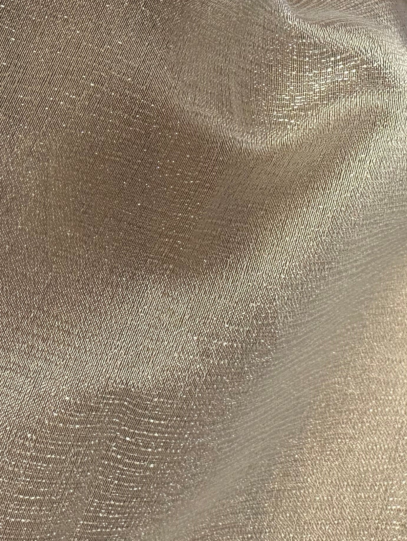 Elfenbeinfarbener Polyester-Organza - Jocularity