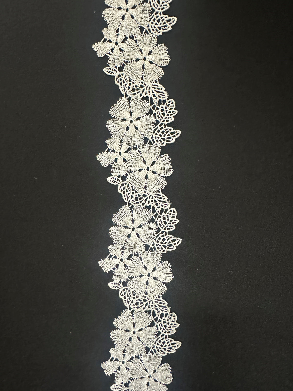 Elfenbeinfarbener Spitzenbesatz – Ulme