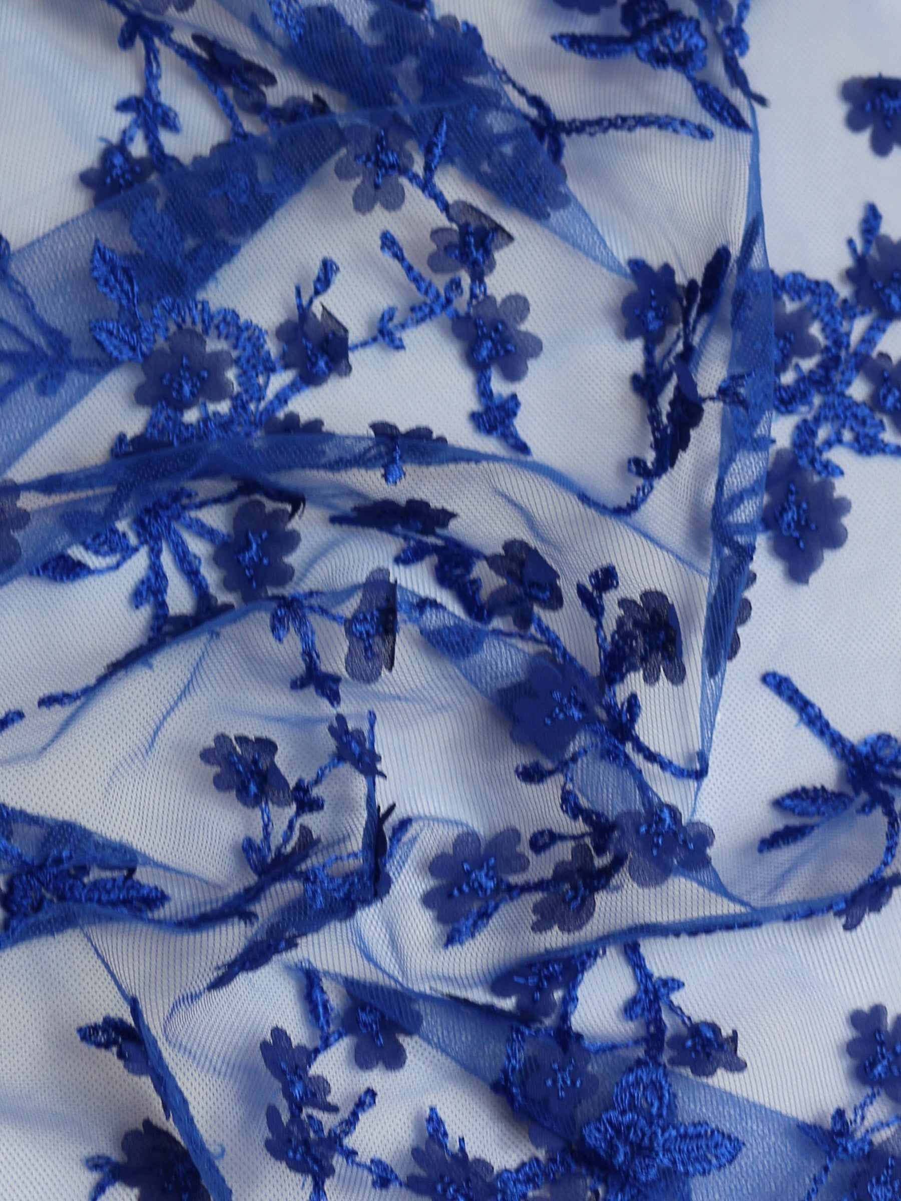 Königsblaue Stickereispitze – Austen