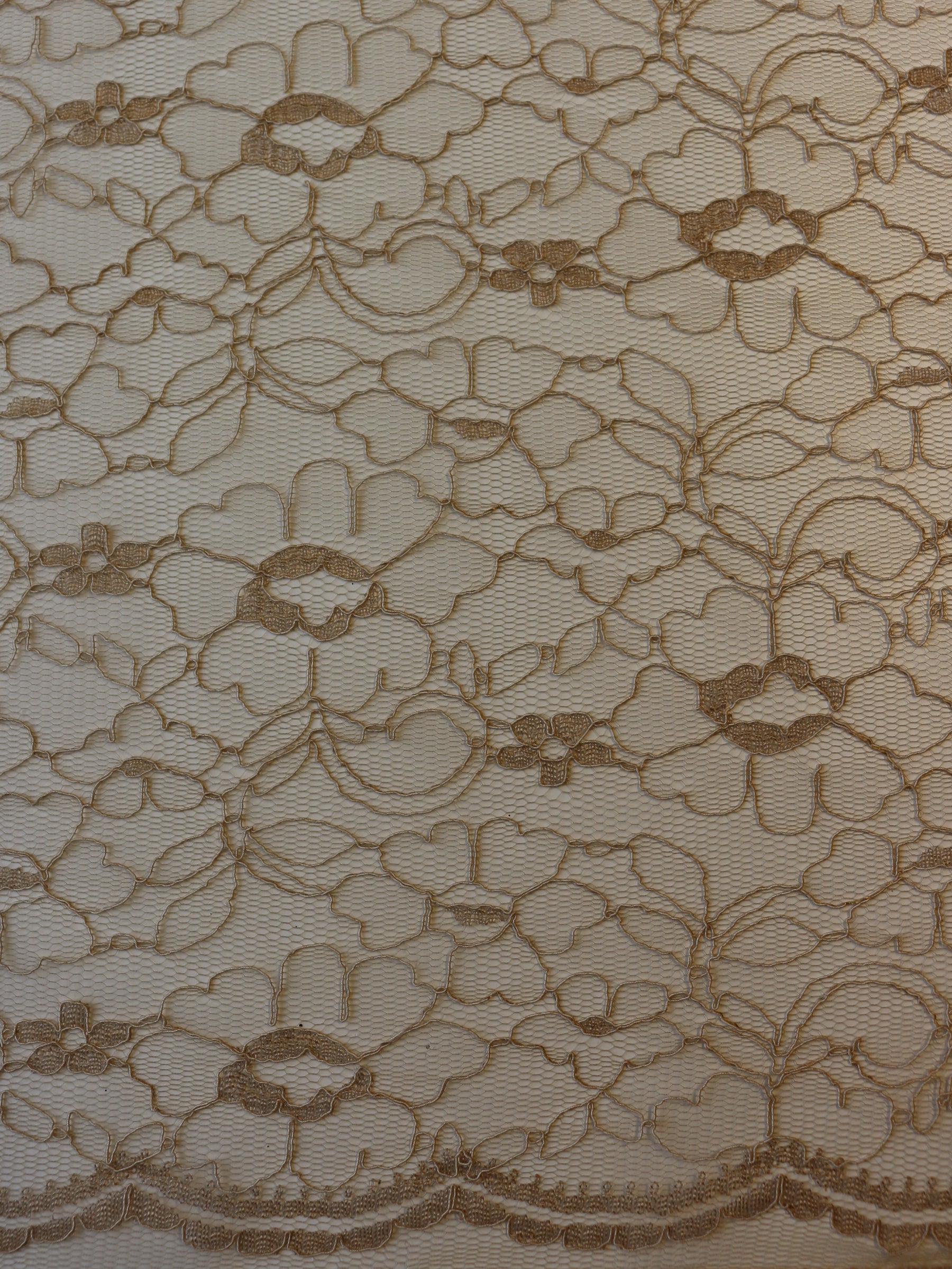 Corded Lace in Cappuccino – Leanne