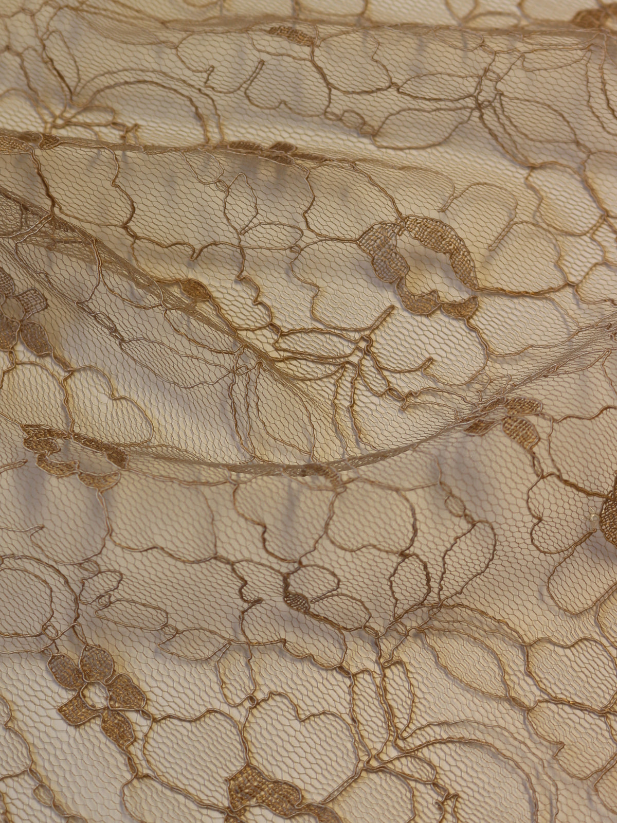 Corded Lace in Cappuccino – Leanne