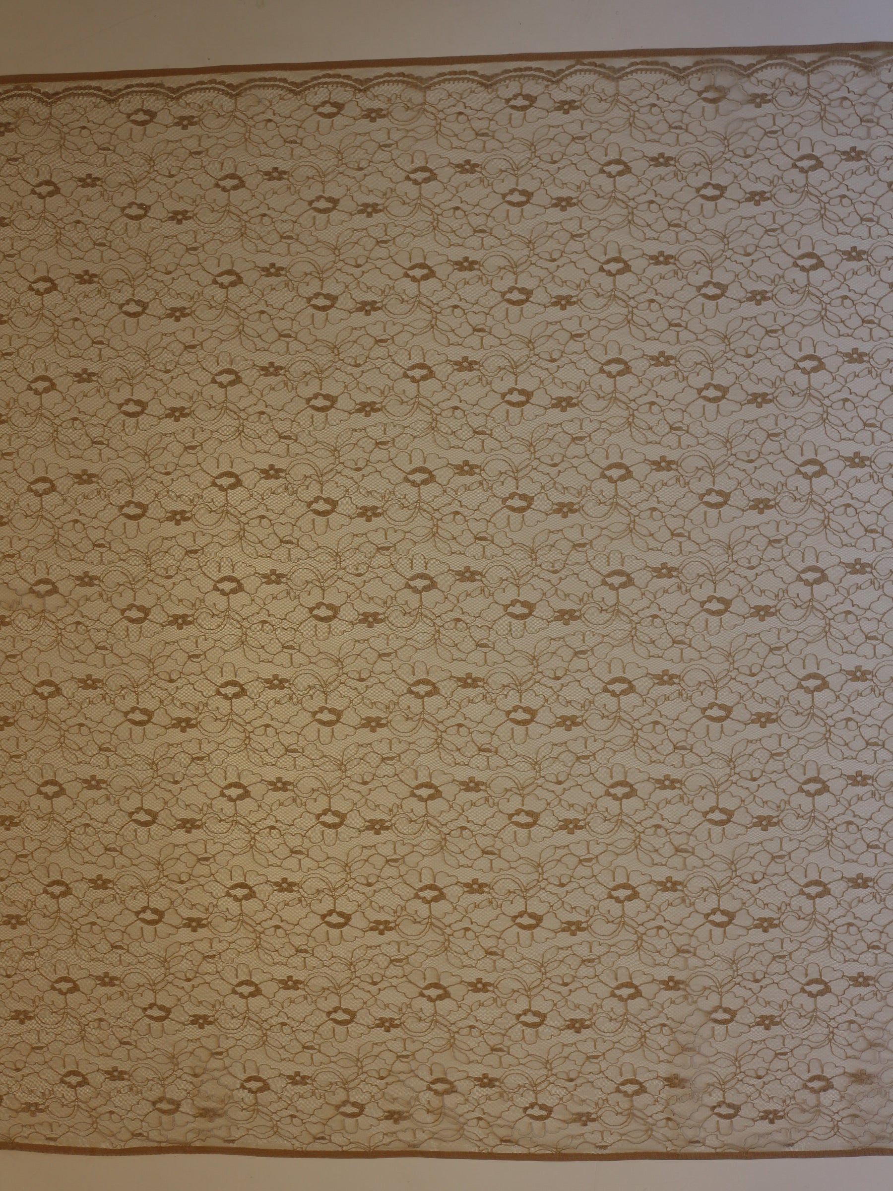 Corded Lace in Cappuccino – Leanne