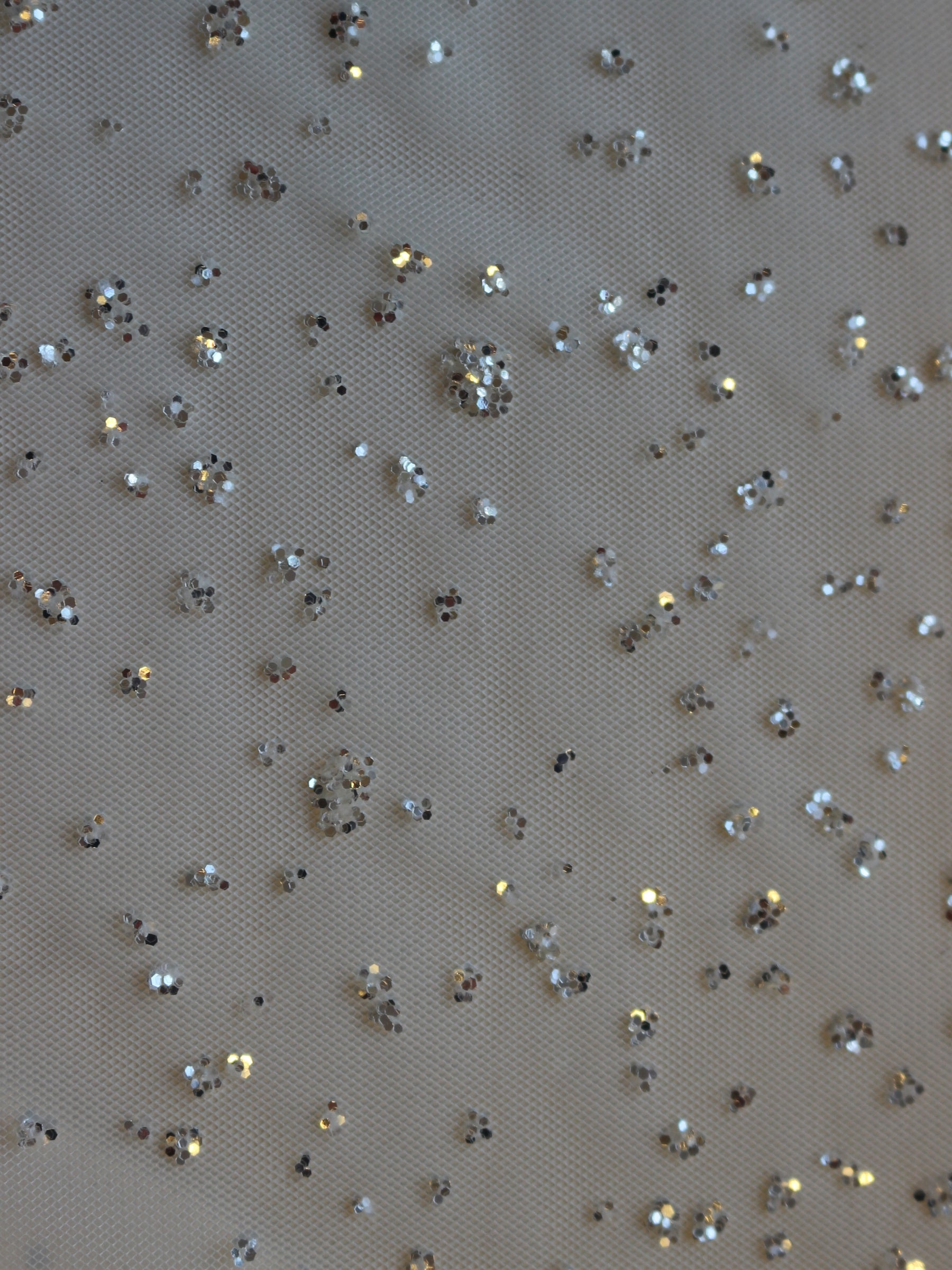 Elfenbeinfarbener Stretch-Tüll mit silberner Glitzerverzierung – Paragon