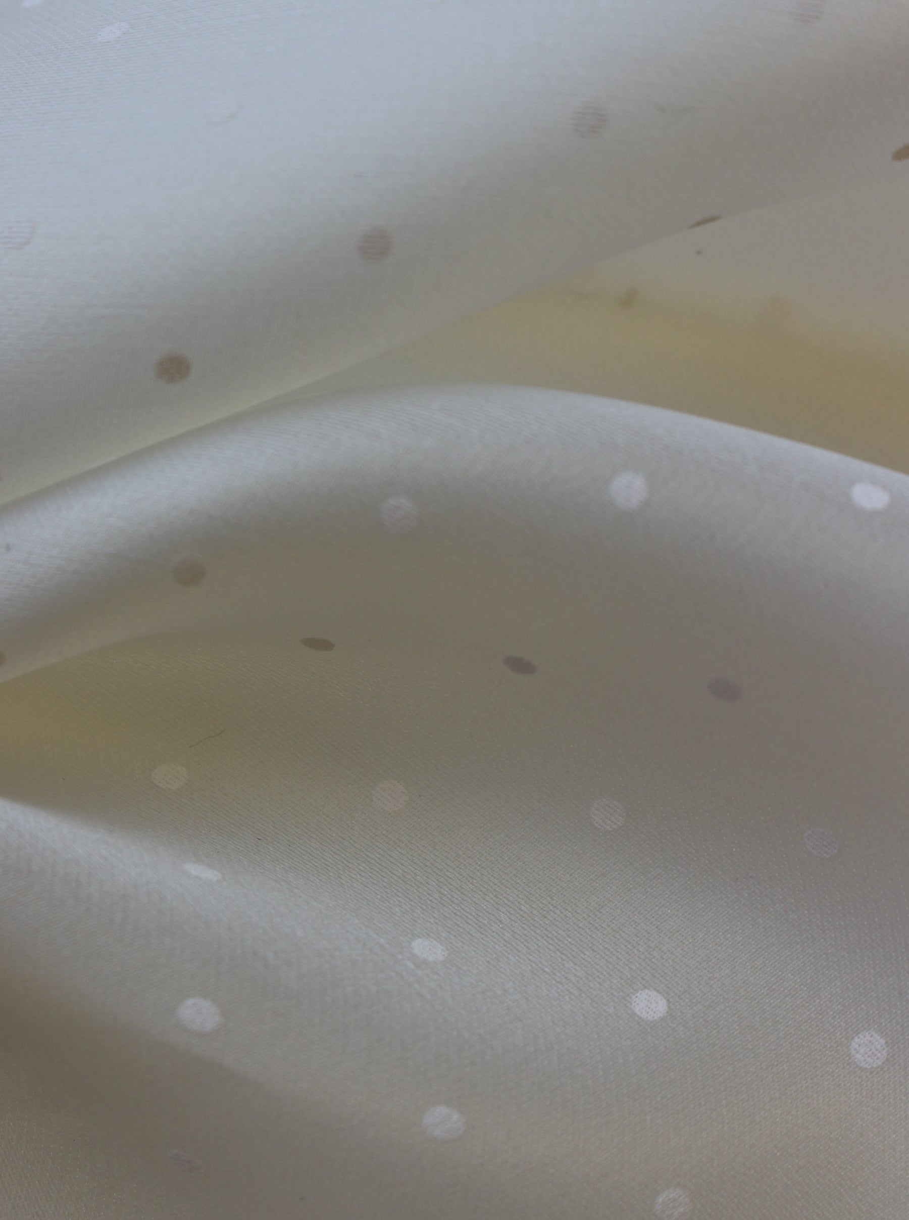 Elfenbeinfarbener Seidenorganza mit Tupfenmuster – Punto
