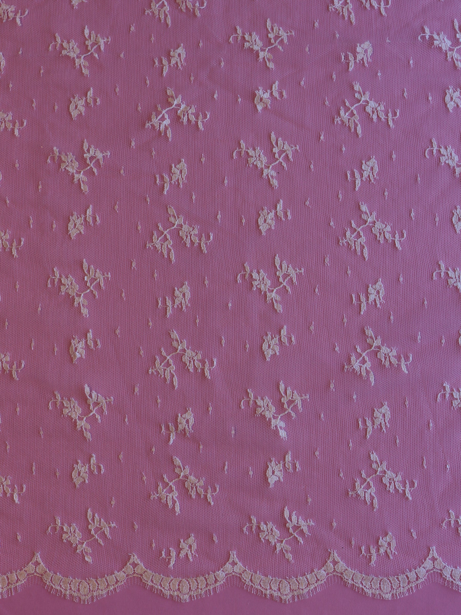 Elfenbeinfarbene Chantilly-Spitze – Pasquelina
