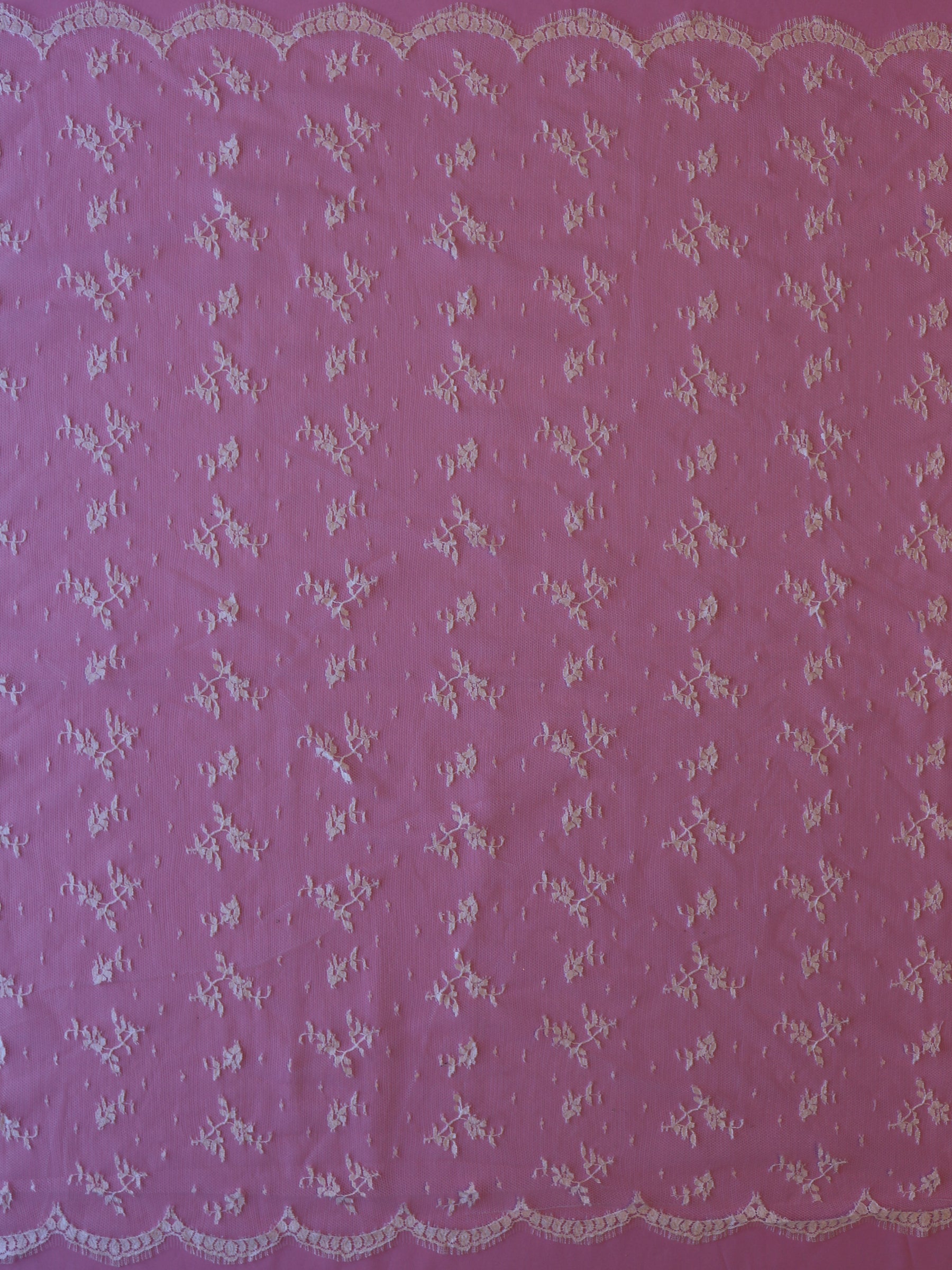 Elfenbeinfarbene Chantilly-Spitze – Pasquelina