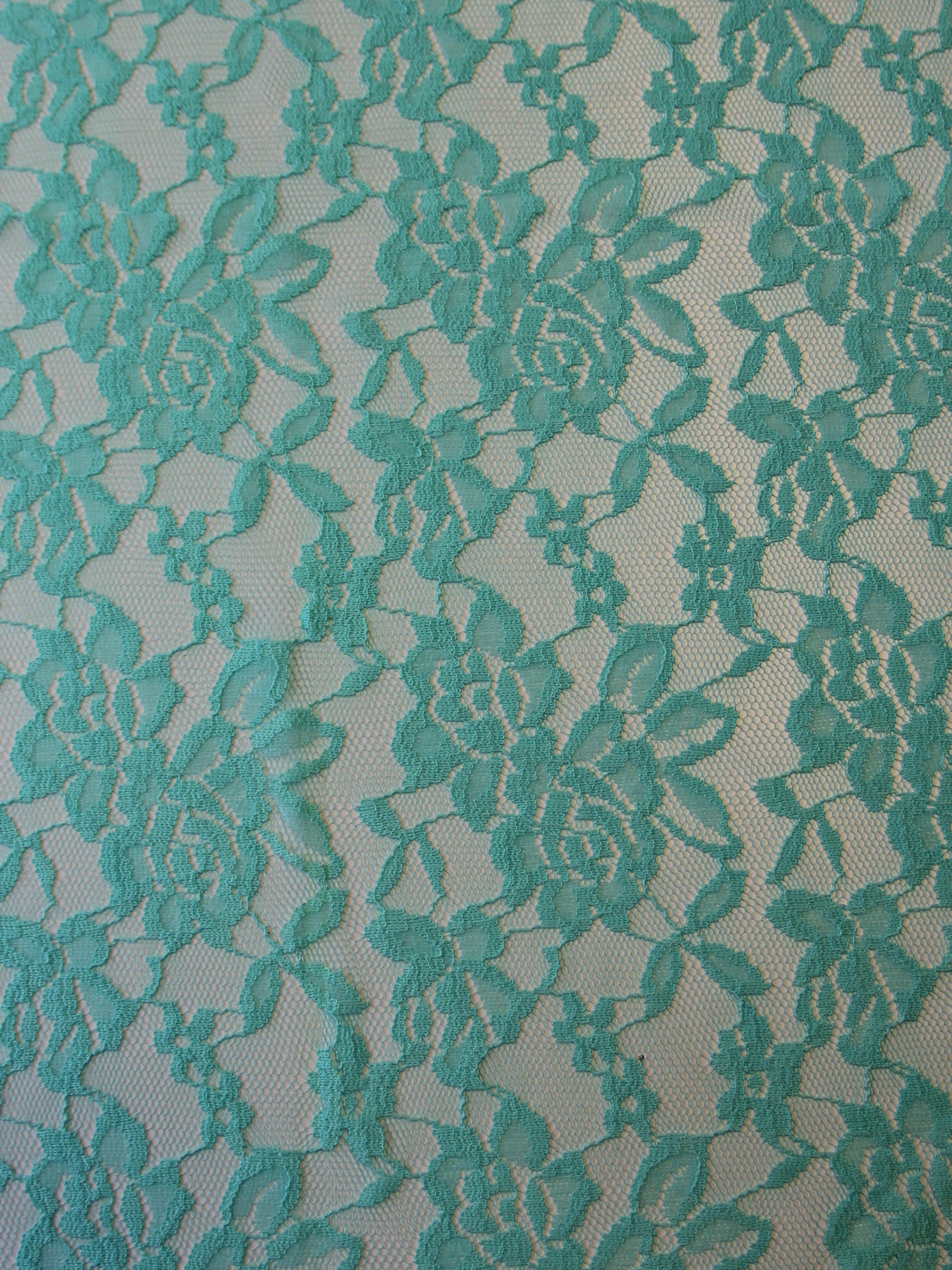 Aqua Raschel Stretch-Spitze – Evie