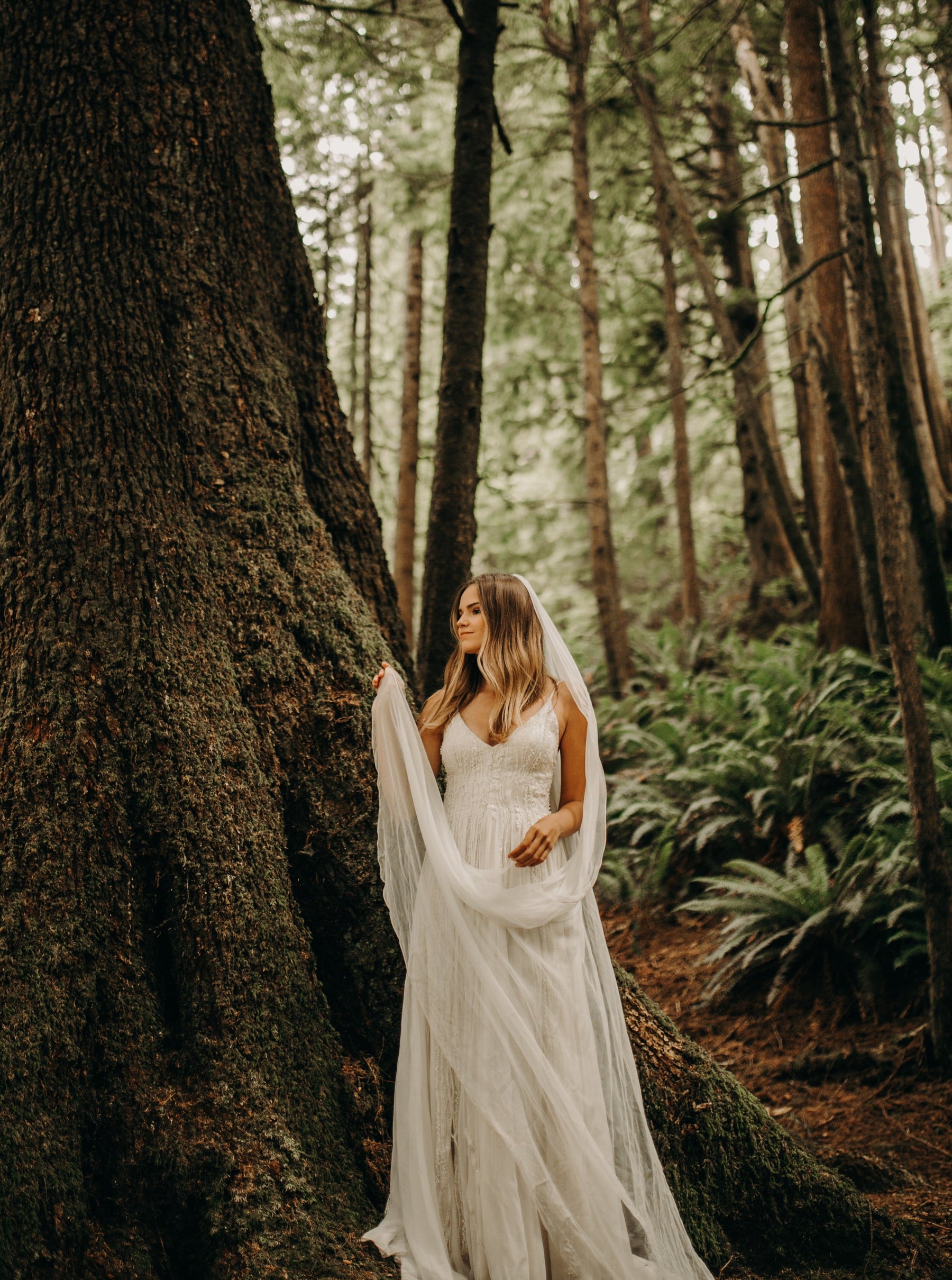 Elfenbeinfarbene Perlenspitze – Athira