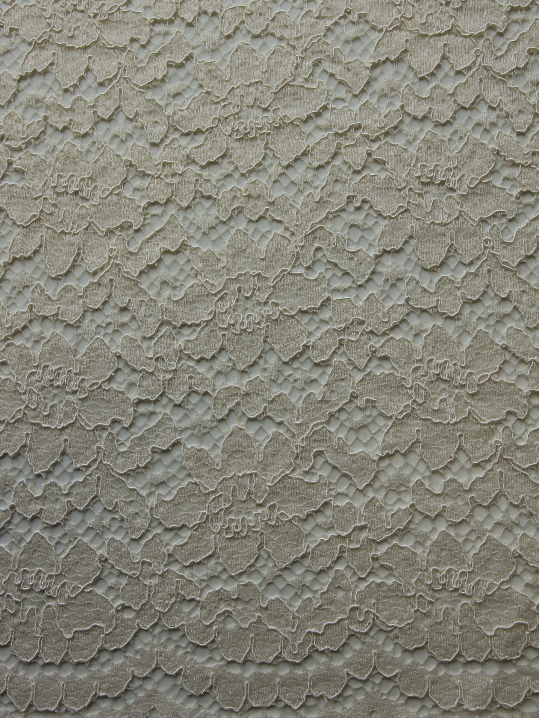 Champagnerfarbene Kordelspitze – Shannon