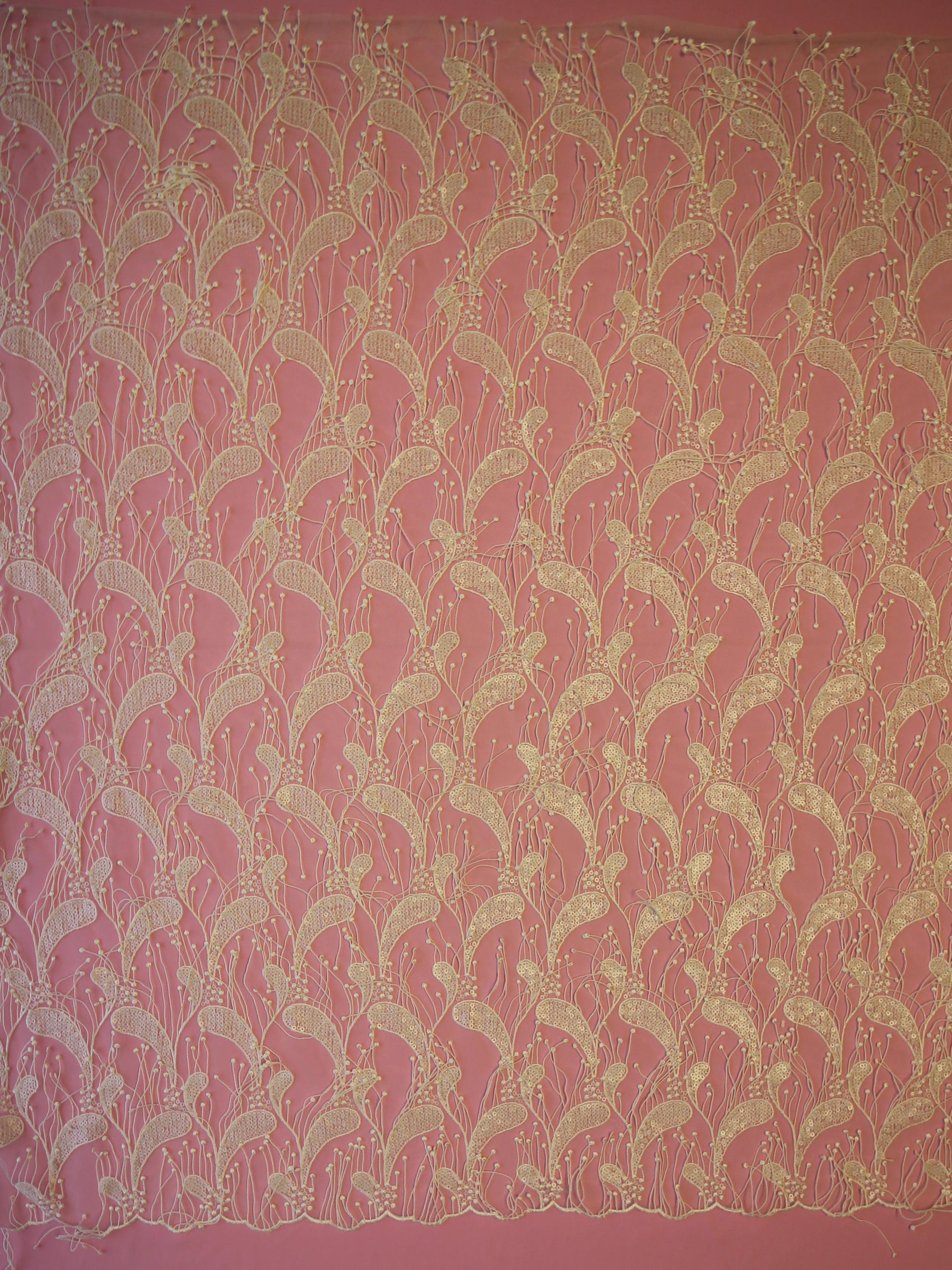 Elfenbeinfarbene paillettenbesetzte Paisley-Spitze – Ronnie