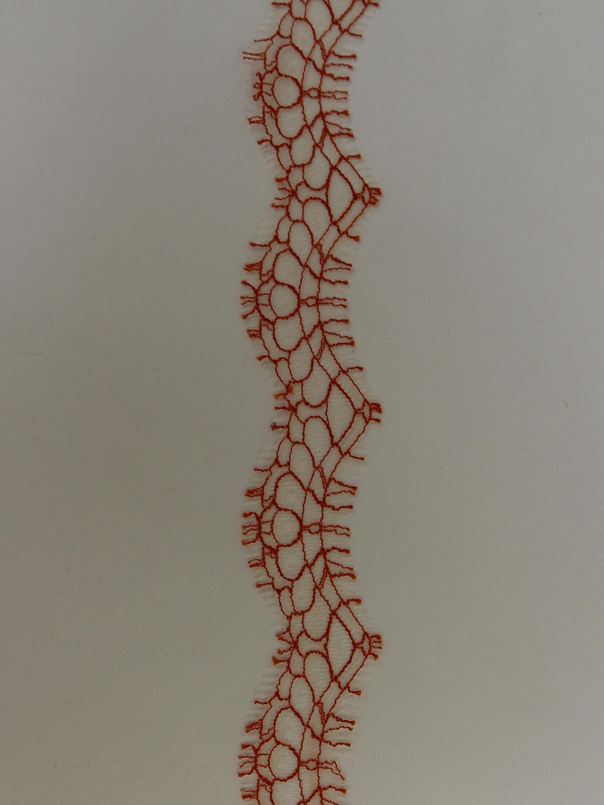 Spitzenbesatz in frischem Orange – Darcey