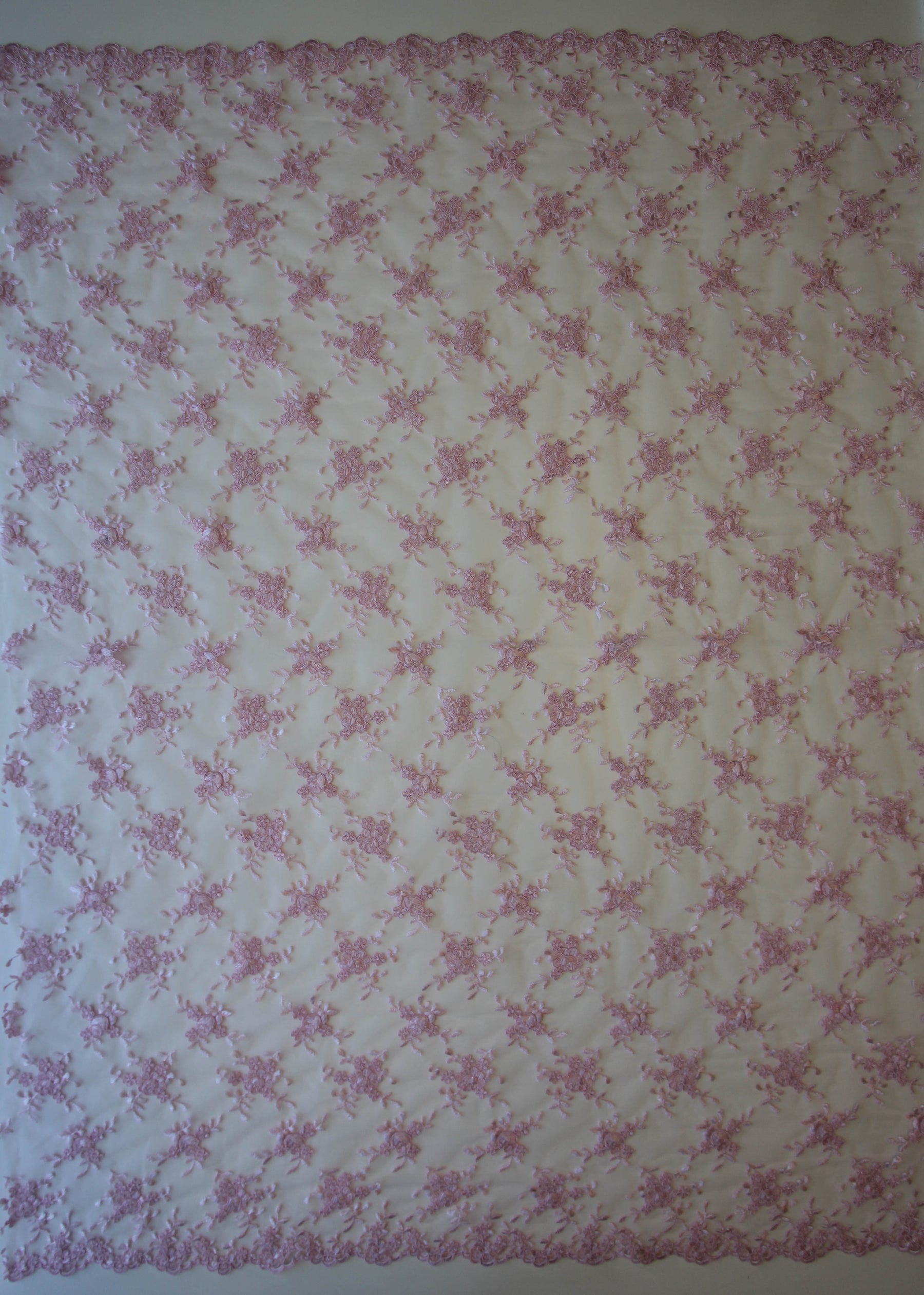 Rosa Kordelspitze – Geraldine