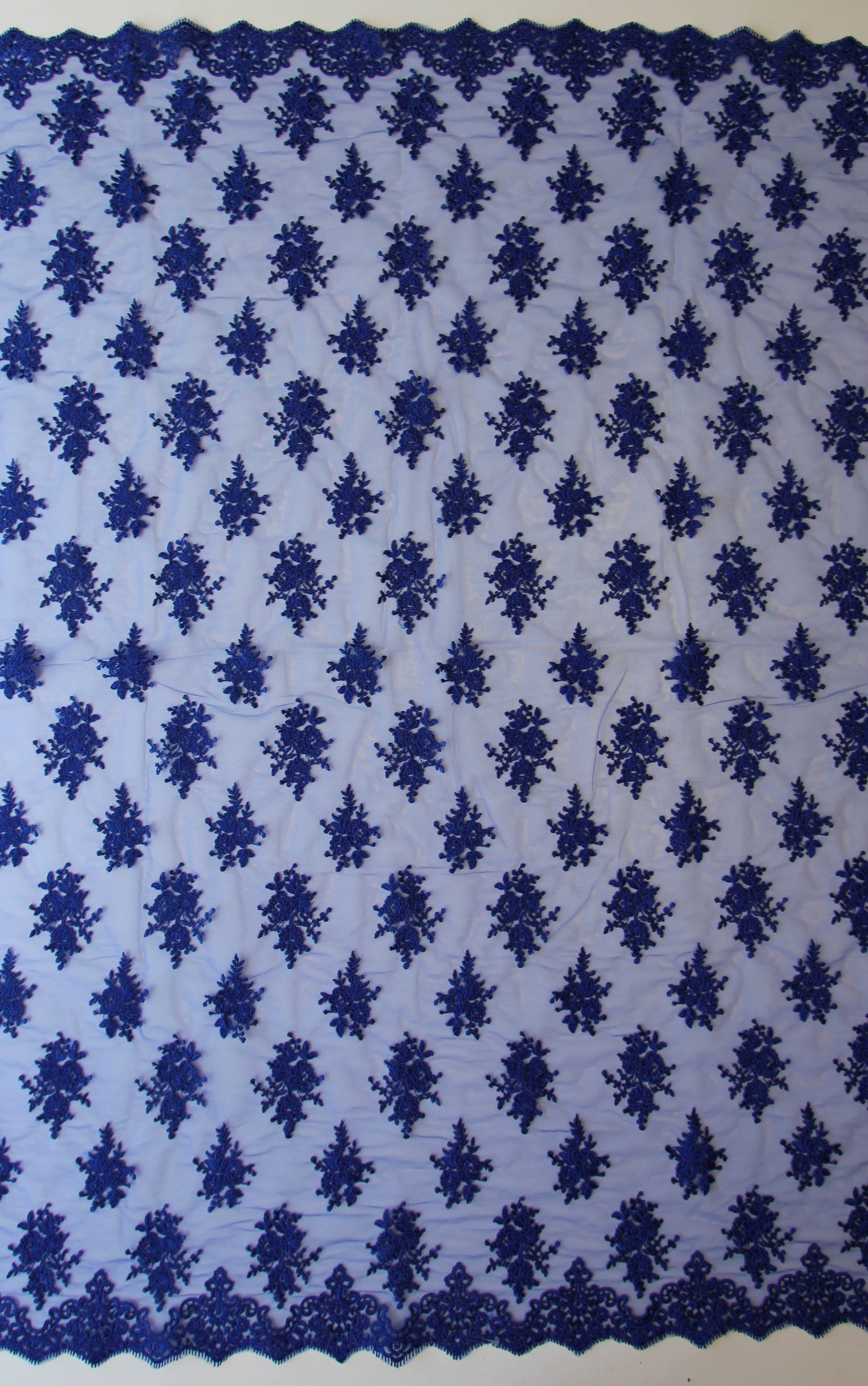 Königsblaue Kordelspitze – Janis