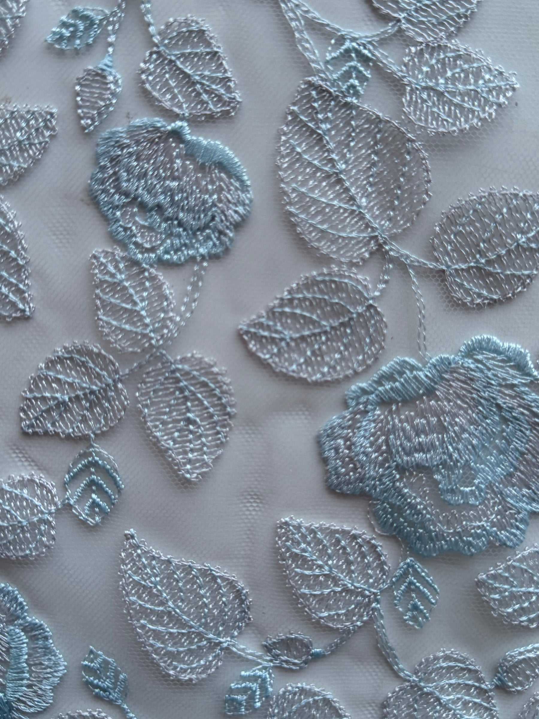 Silberne und blaue Stickspitze - EB5042