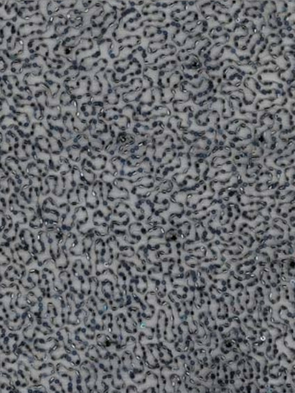 Marineblauer, bestickter Perlentüll - EB1012