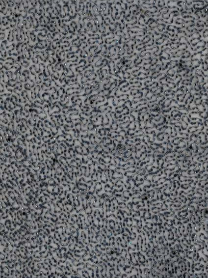 Marineblauer, bestickter Perlentüll - EB1012